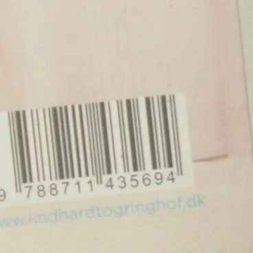 Seje piger af Jennifer Weiner (Bog)