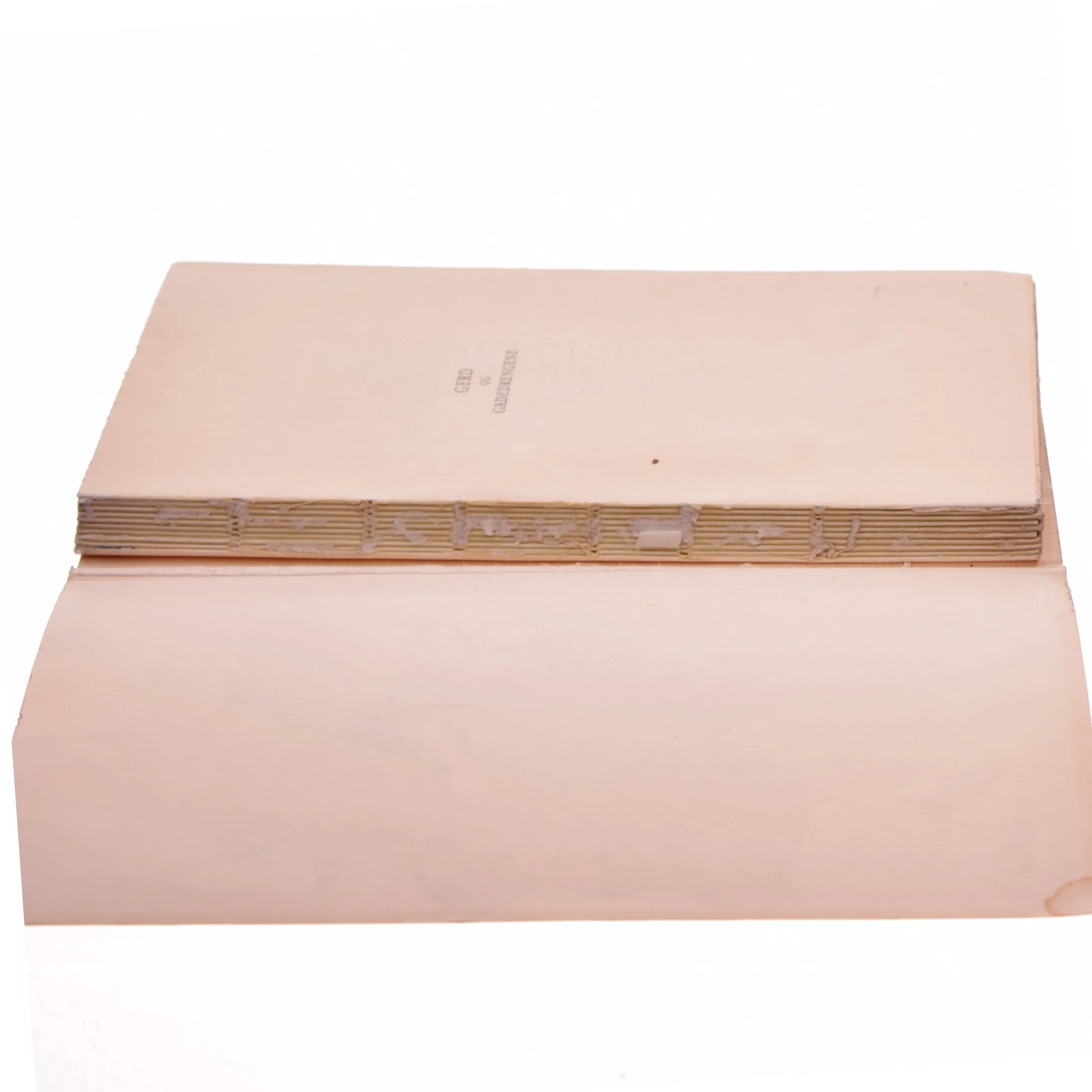 Gerd og gadegdrengene bog