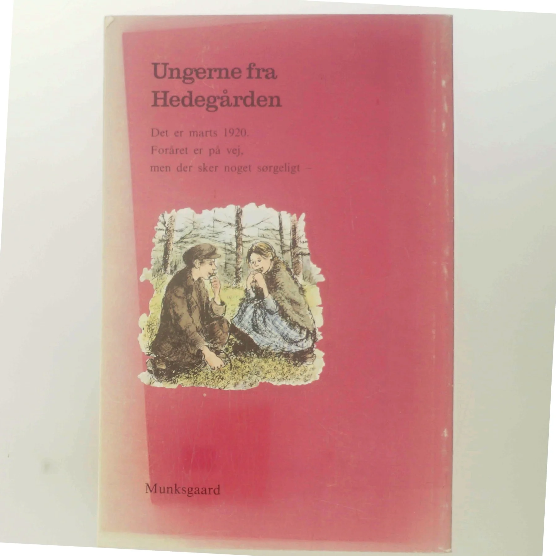 Karen og de andre af Hjørdis Varmer (Bog)