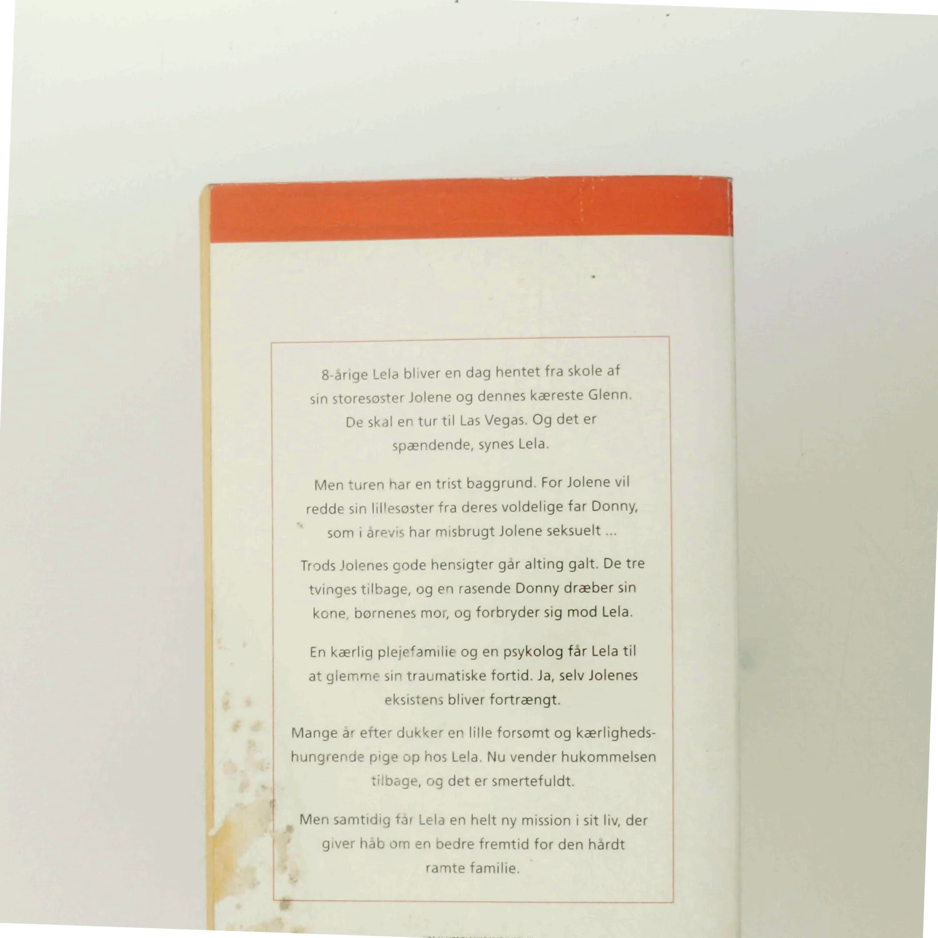 Mellem søstre af Nina Vida (Bog)