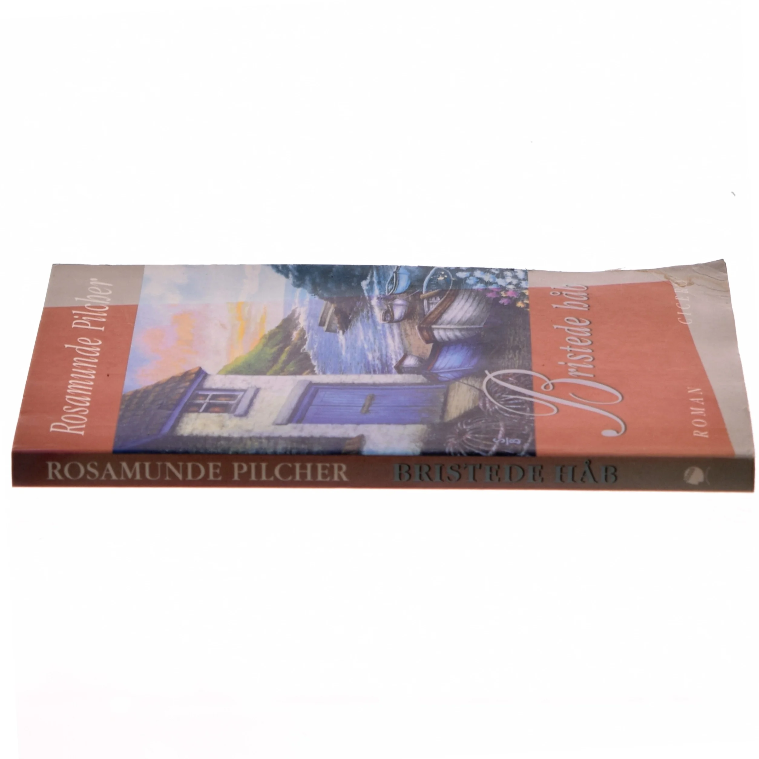 Bristede håb af Rosamunde Pilcher (Bog)