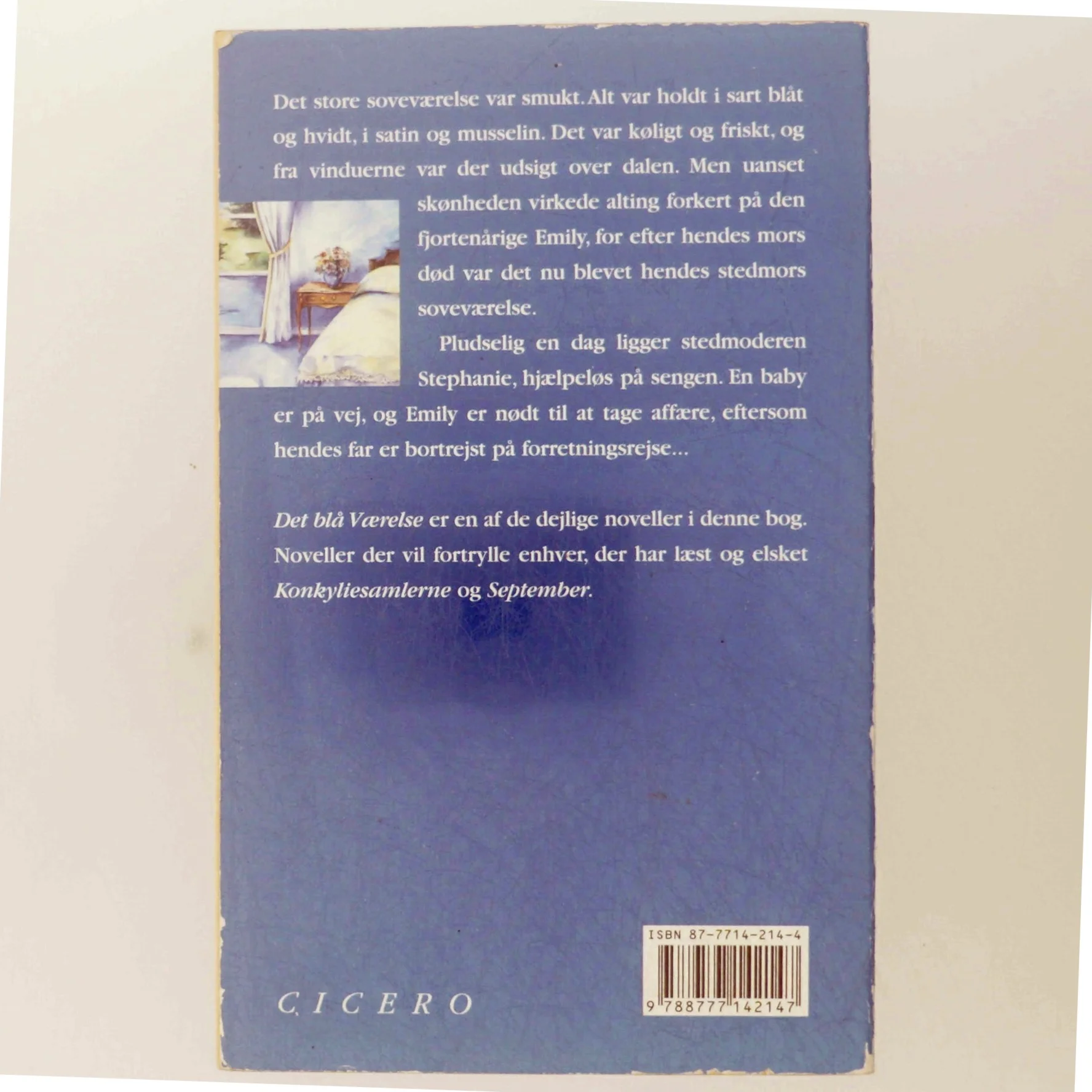 Det blå værelse af Rosamunde Pilcher (Bog)