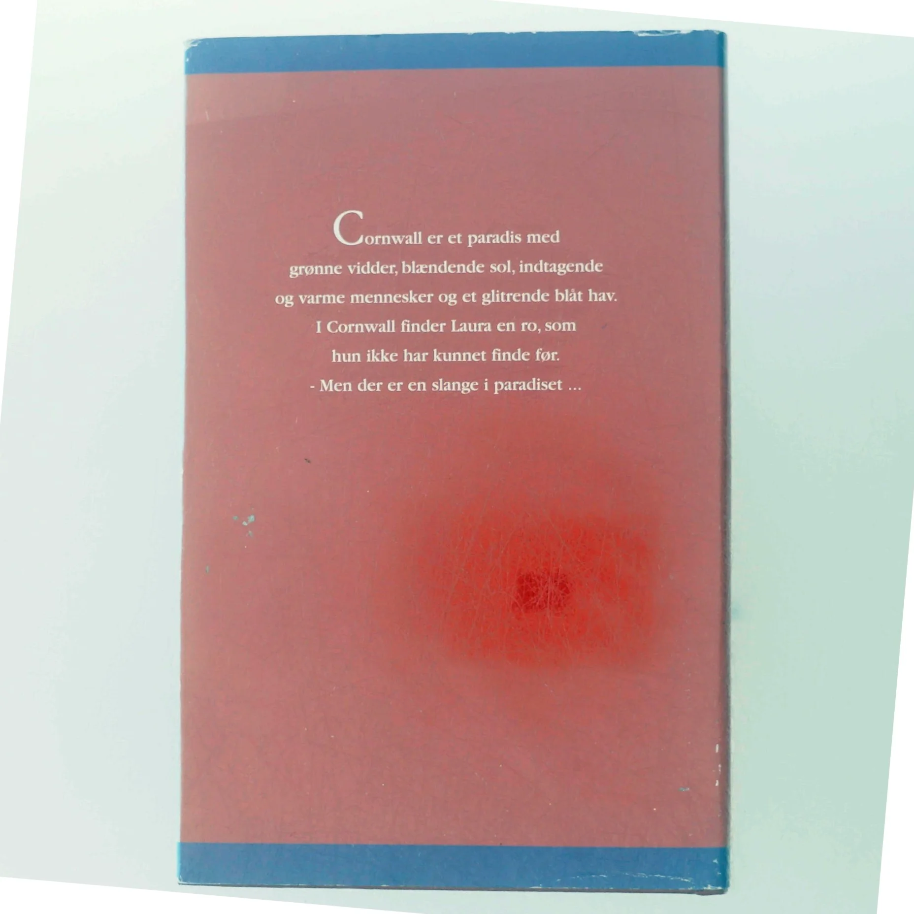 Roman 'Første Sommer' af Rosamunde Pilcher