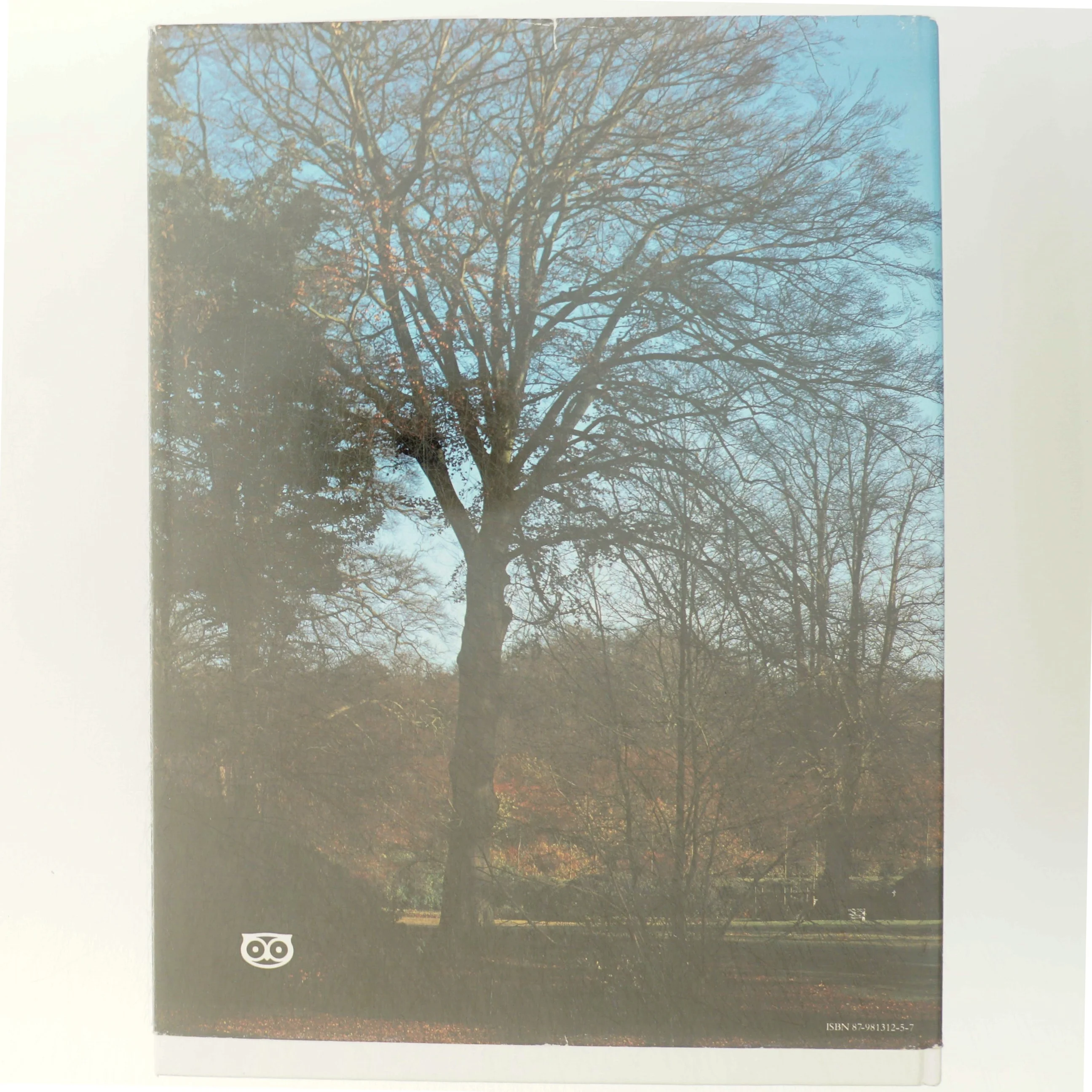 Bog om Kongehusets boliger