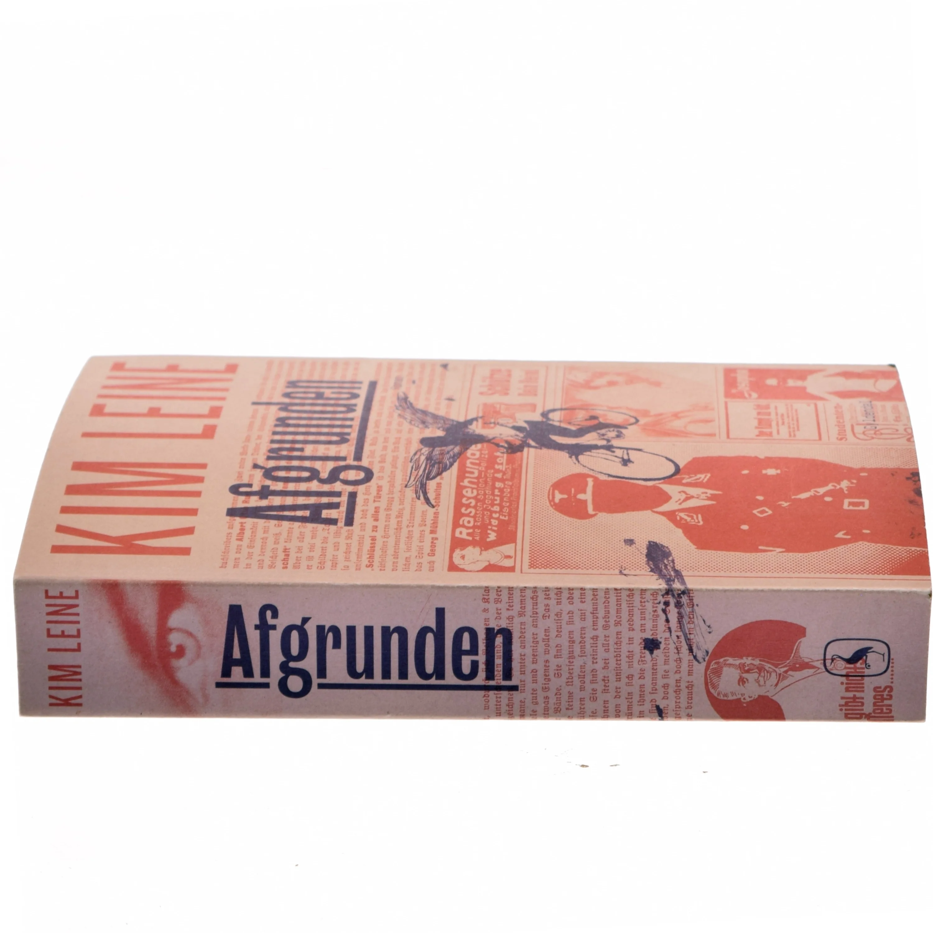 Afgrunden : roman (Klassesæt) af Kim Leine (Bog)