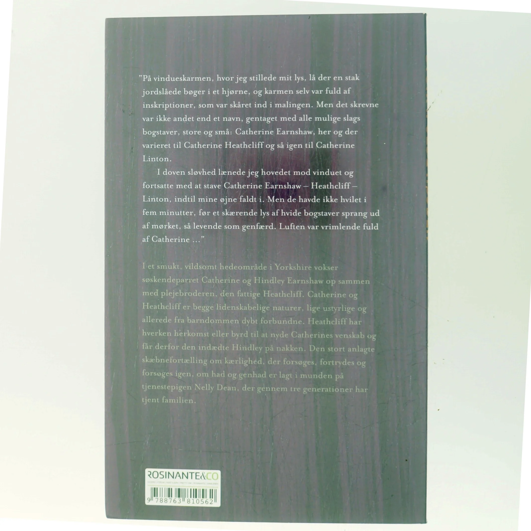 Stormfulde højder af Emily Brontë (Bog)