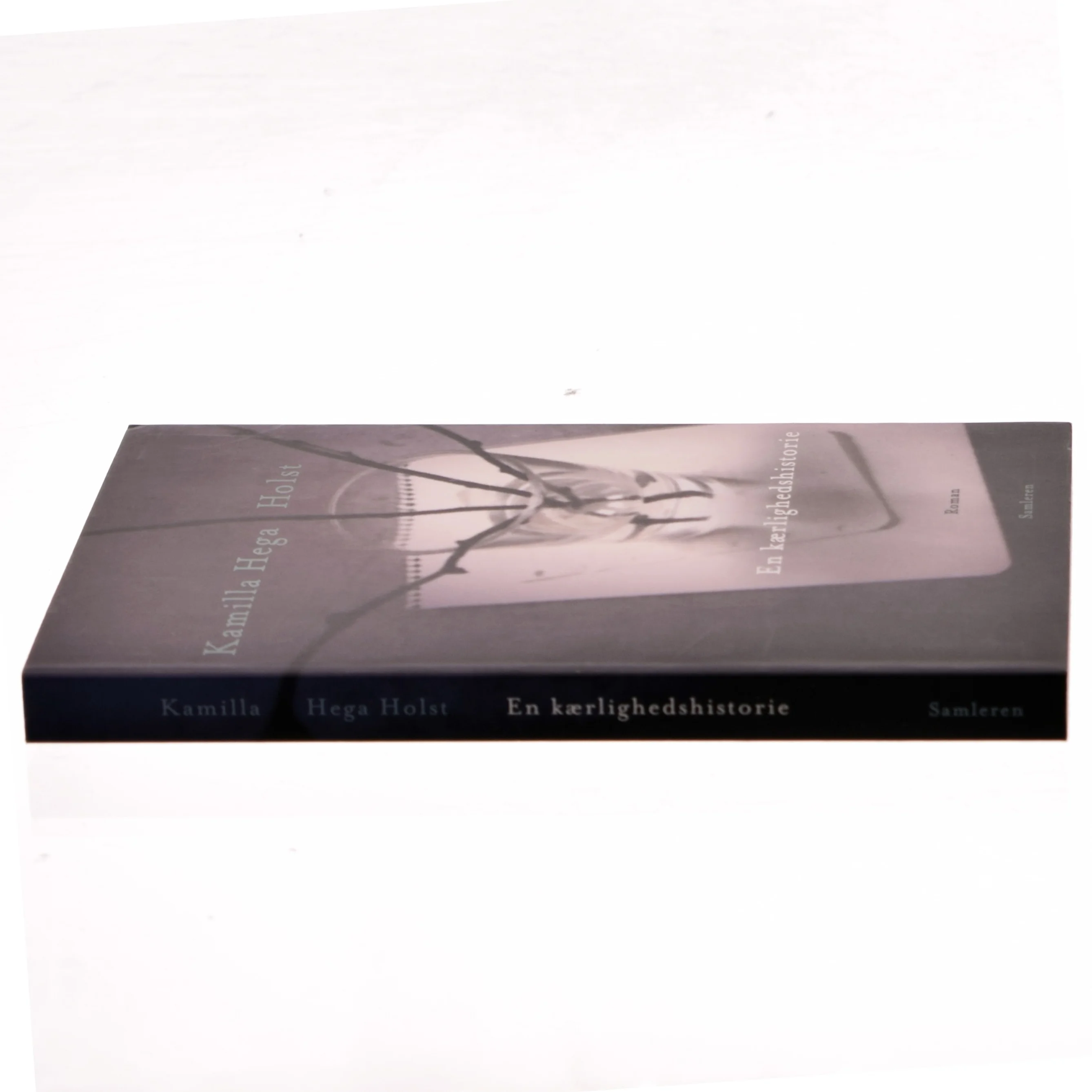 En kærlighedshistorie : roman af Kamilla Hega Holst (Bog)