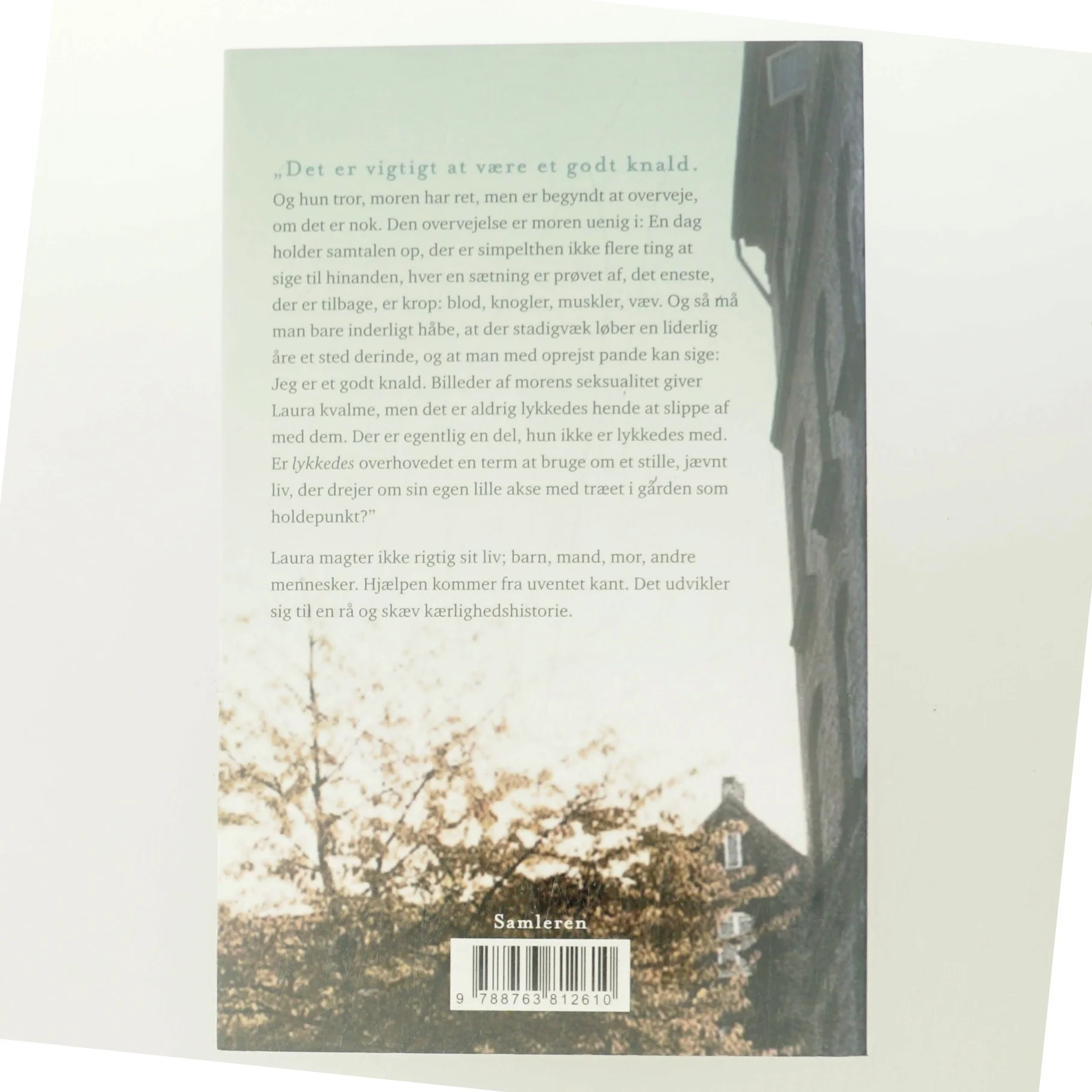 En kærlighedshistorie : roman af Kamilla Hega Holst (Bog)