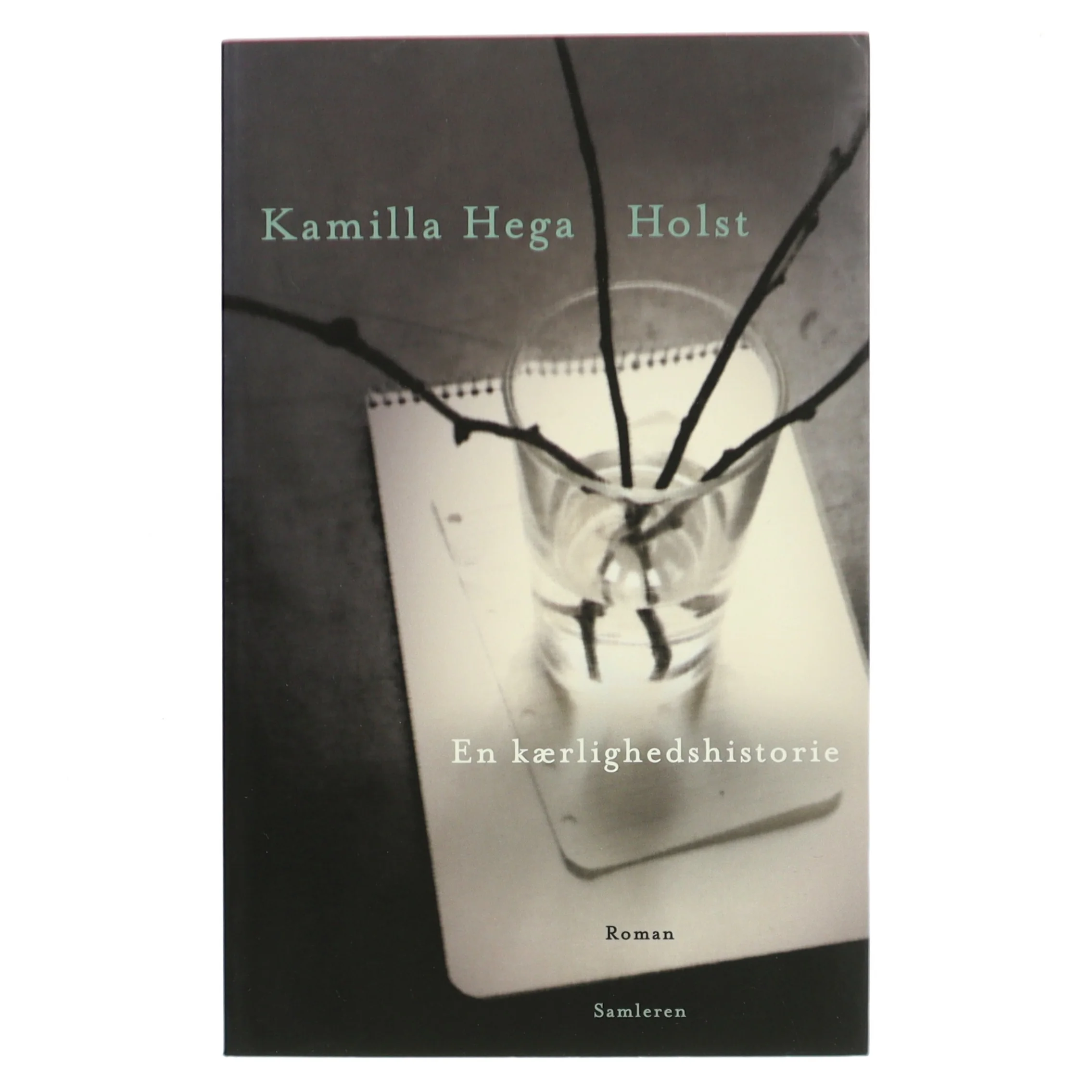 En kærlighedshistorie : roman af Kamilla Hega Holst (Bog)