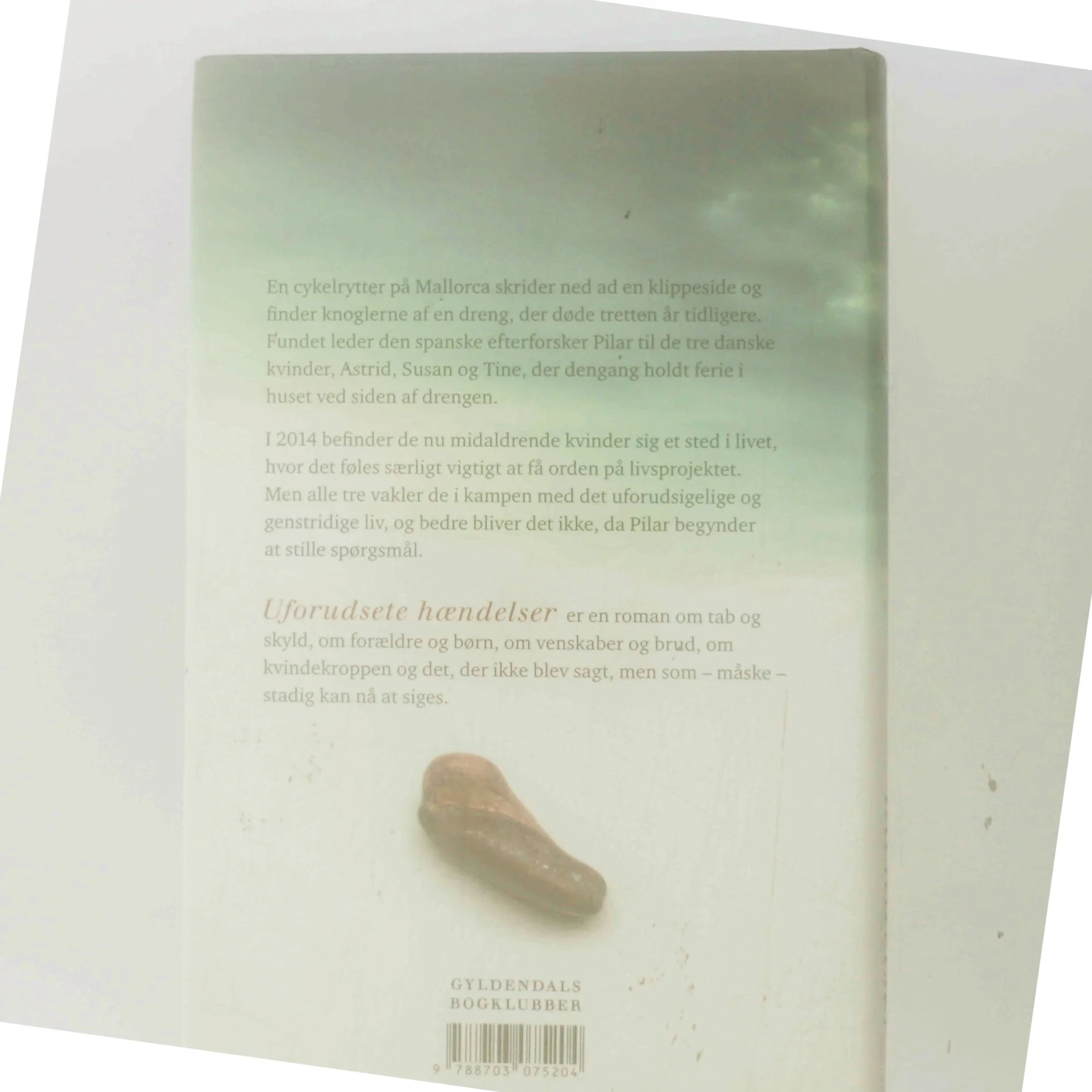 Uforudsete hændelser : roman af Hanne Richardt Beck (Bog)