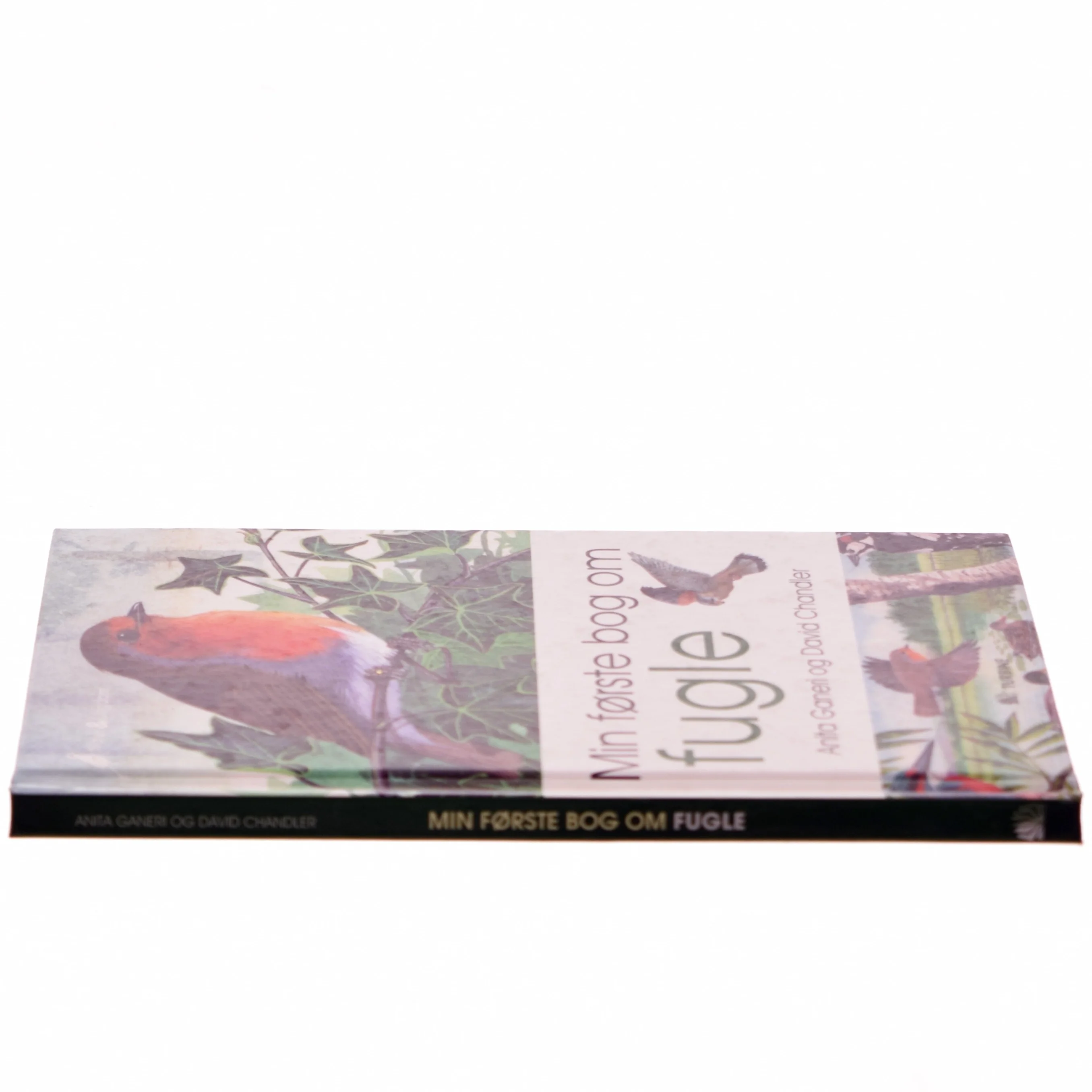 Min første bog om fugle af Anita Ganeri (Bog)