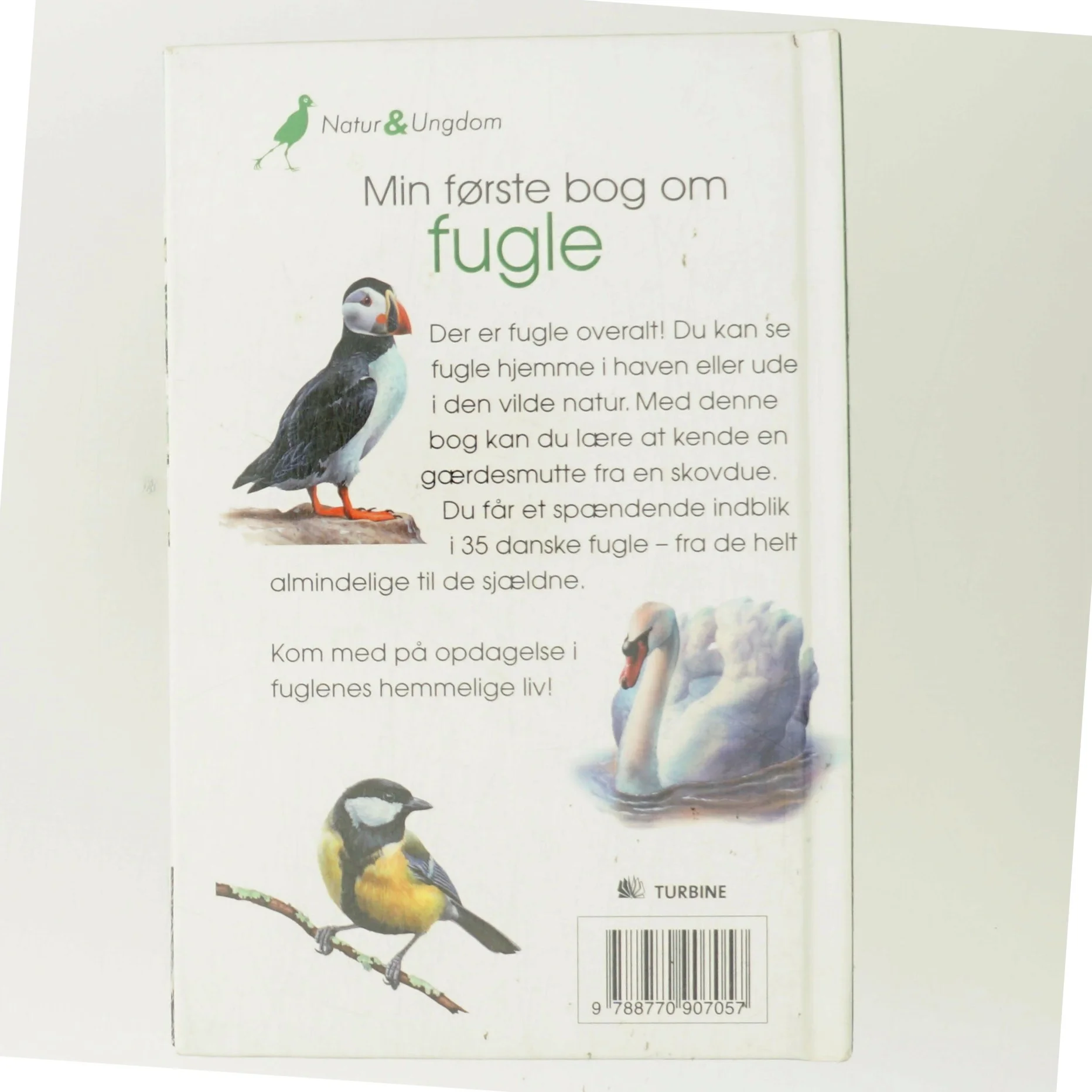 Min første bog om fugle af Anita Ganeri (Bog)