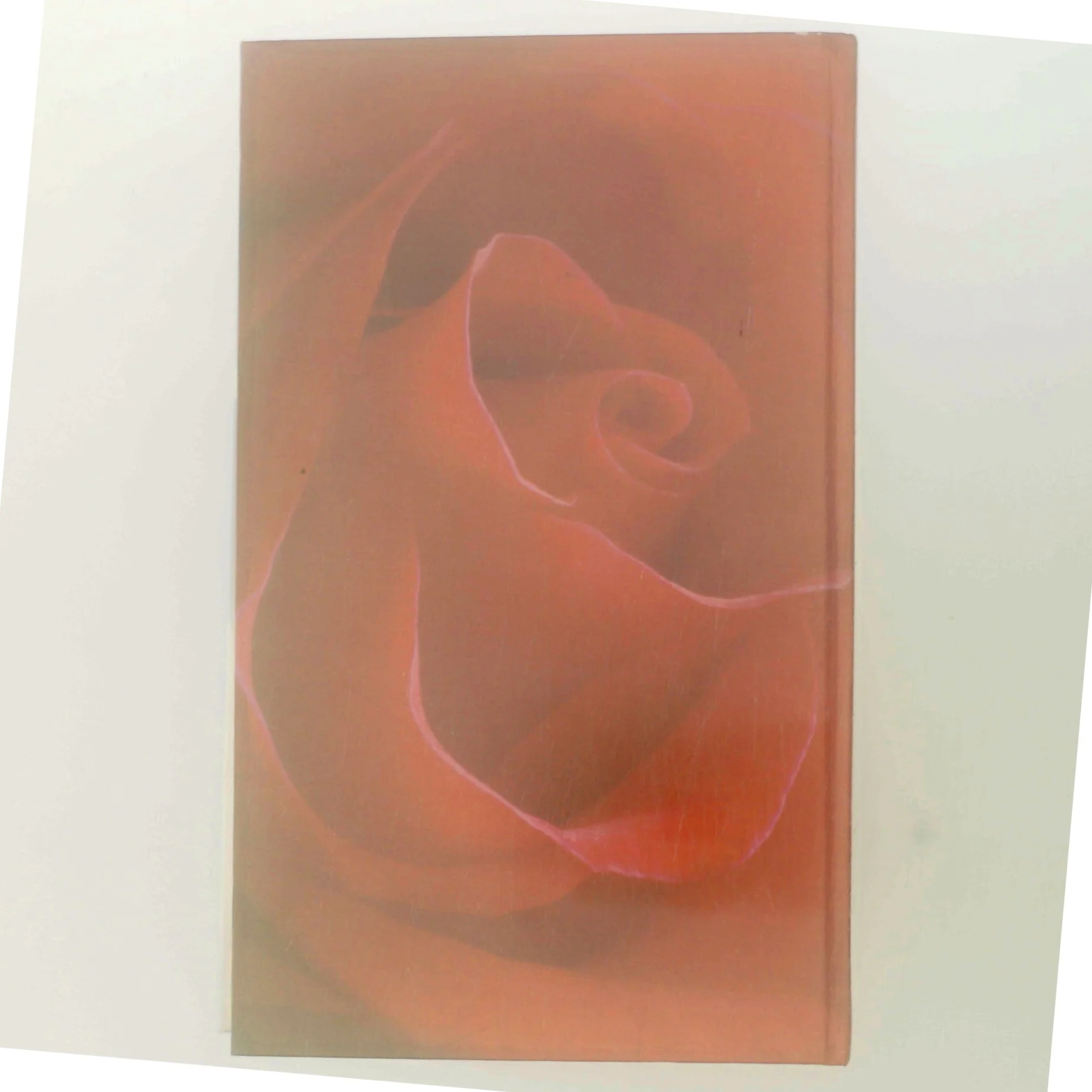 Den grønne port af Jane Aamund (Bog)