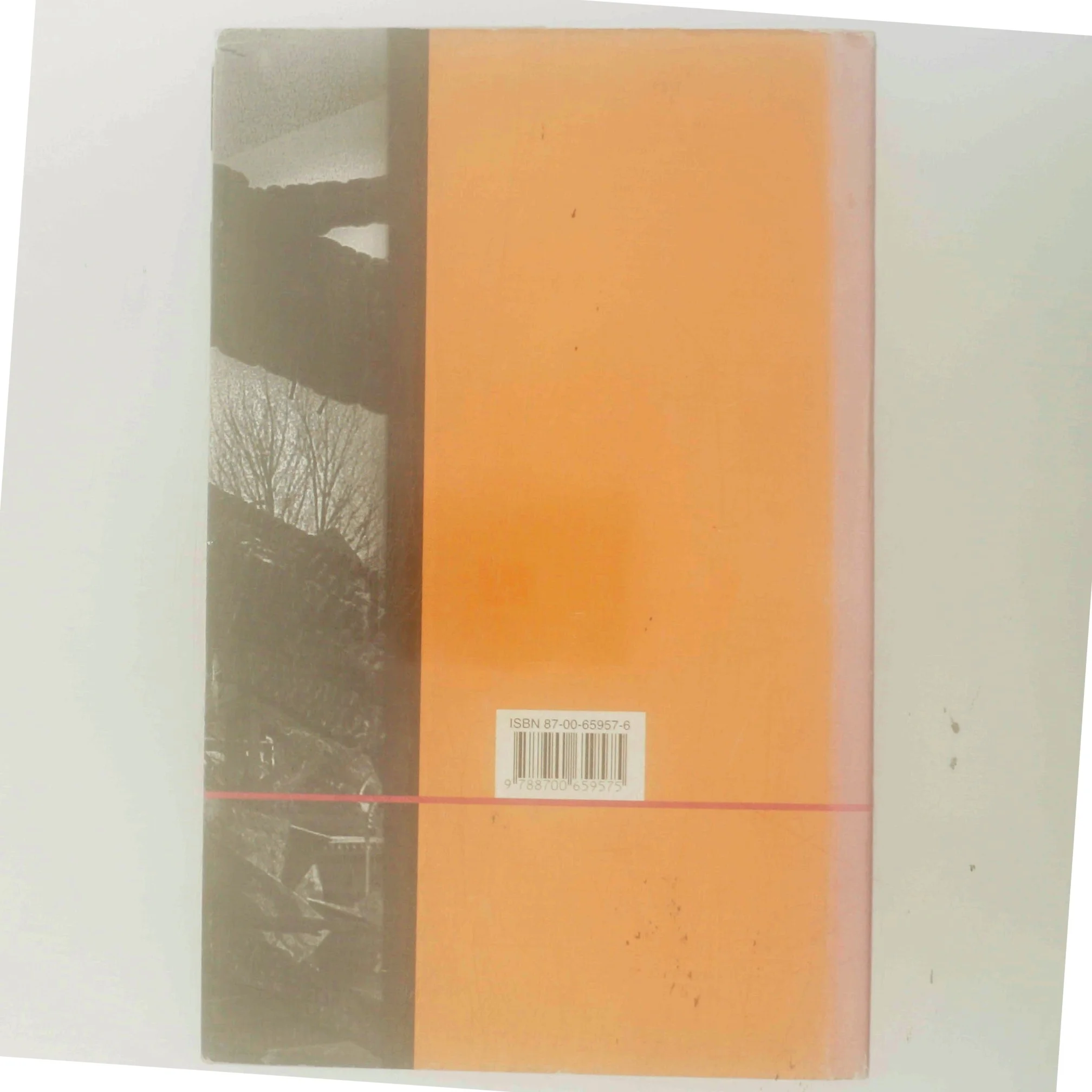 Nedtælling af Liza Marklund (Bog)