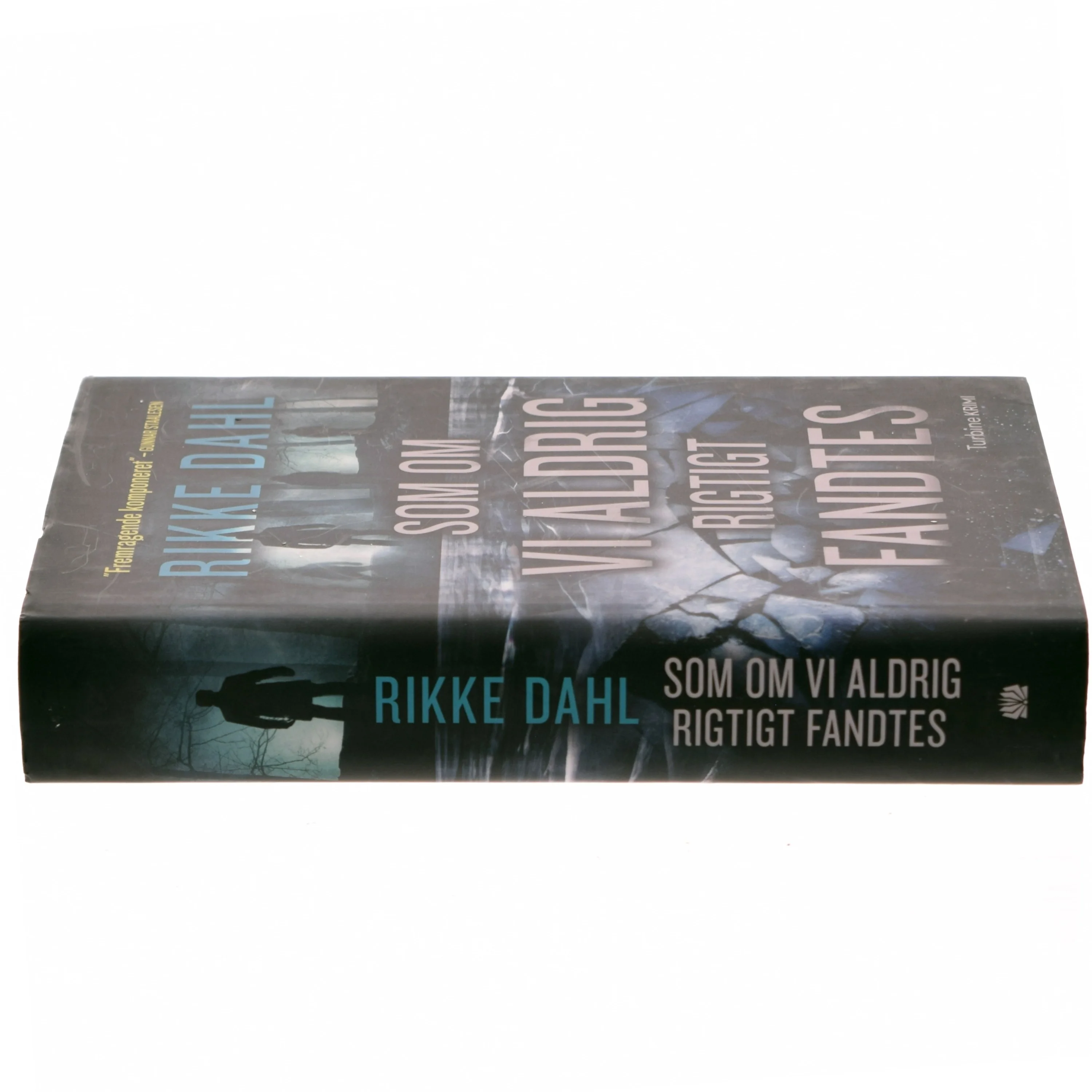 Som om vi aldrig rigtigt fandtes af Rikke Dahl (Bog)