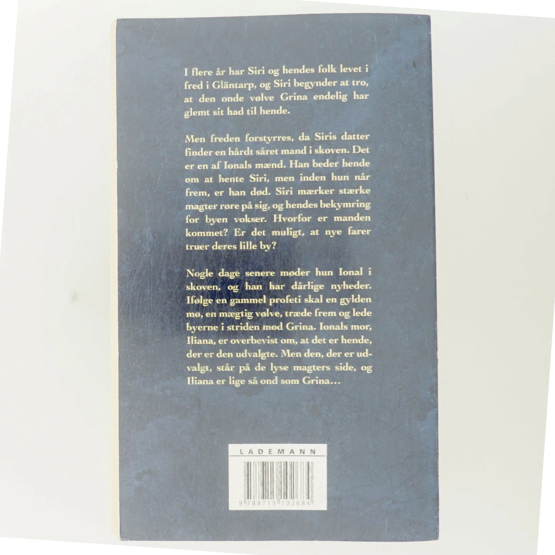 Vindens øje af Saga Borg (Bog)