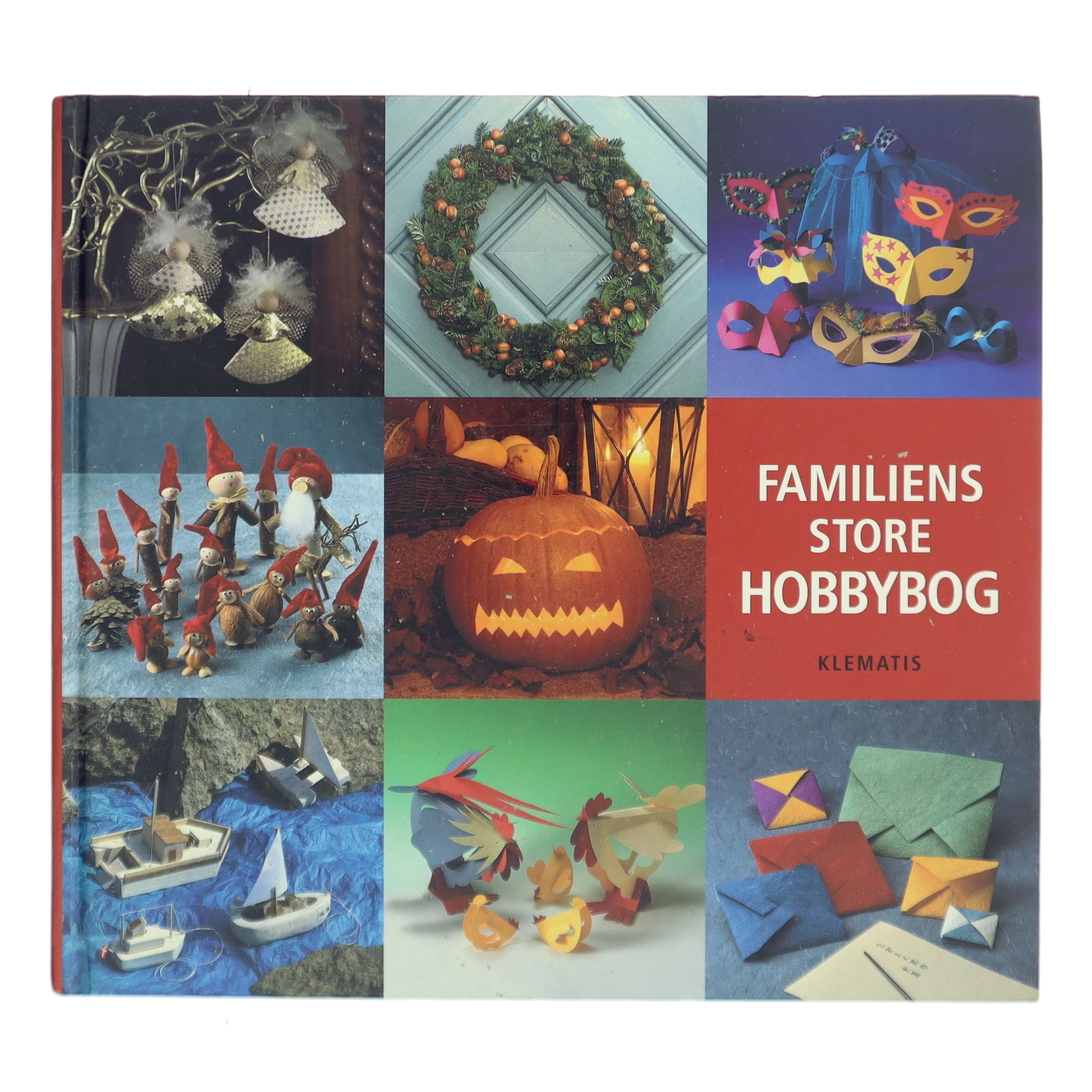 Familiens store hobbybog af Mette Voldmester (Bog)