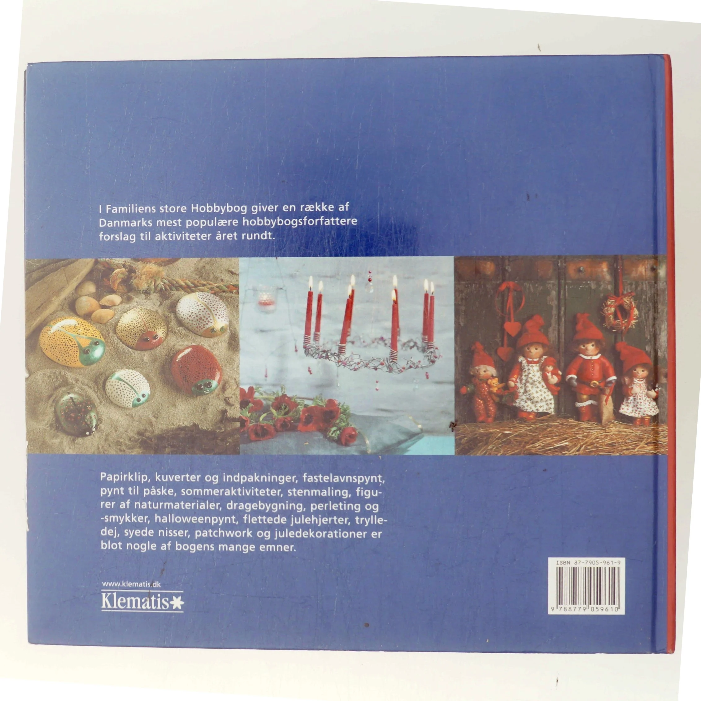 Familiens store hobbybog af Mette Voldmester (Bog)