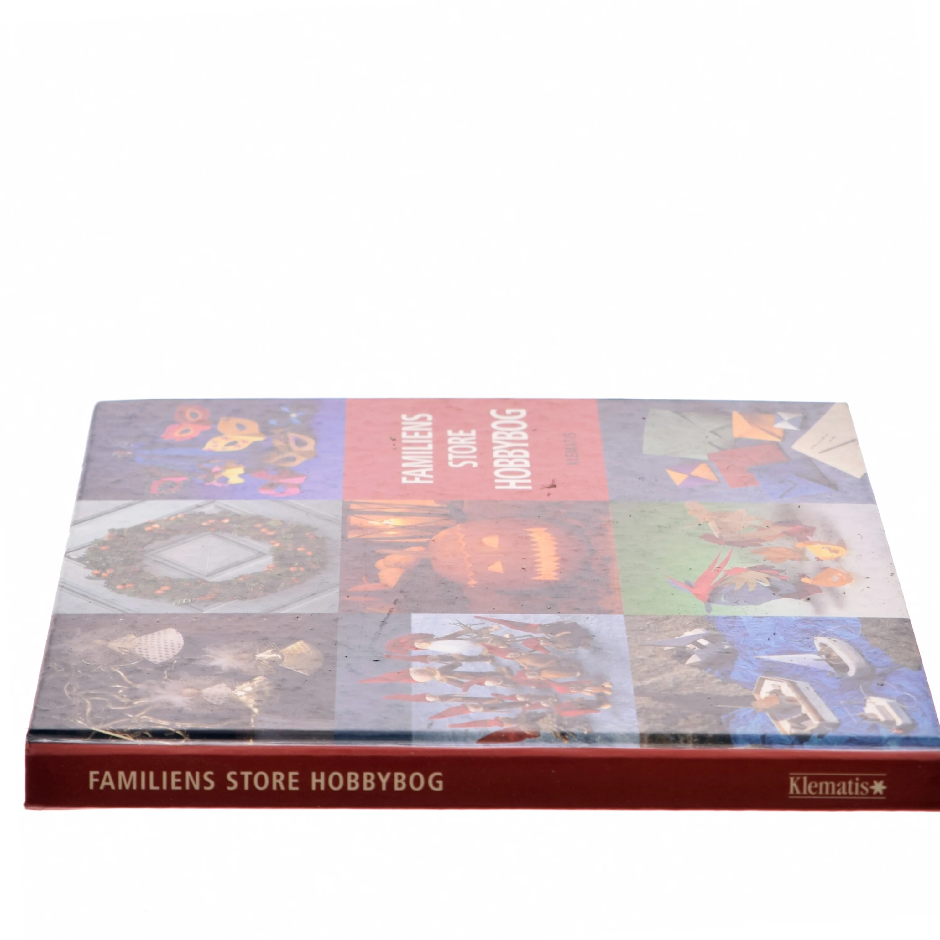 Familiens store hobbybog af Mette Voldmester (Bog)