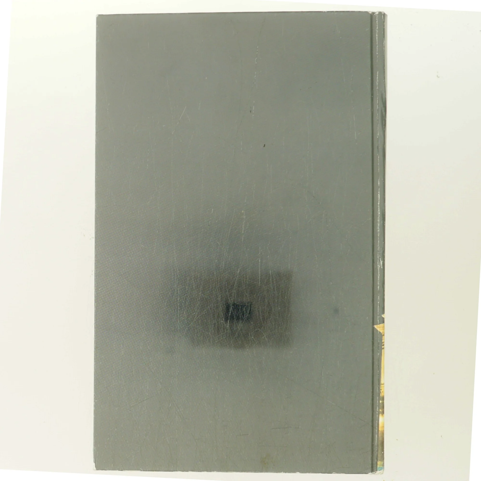 En lykkelig kvinde af Hanne-Vibeke Holst (Bog)