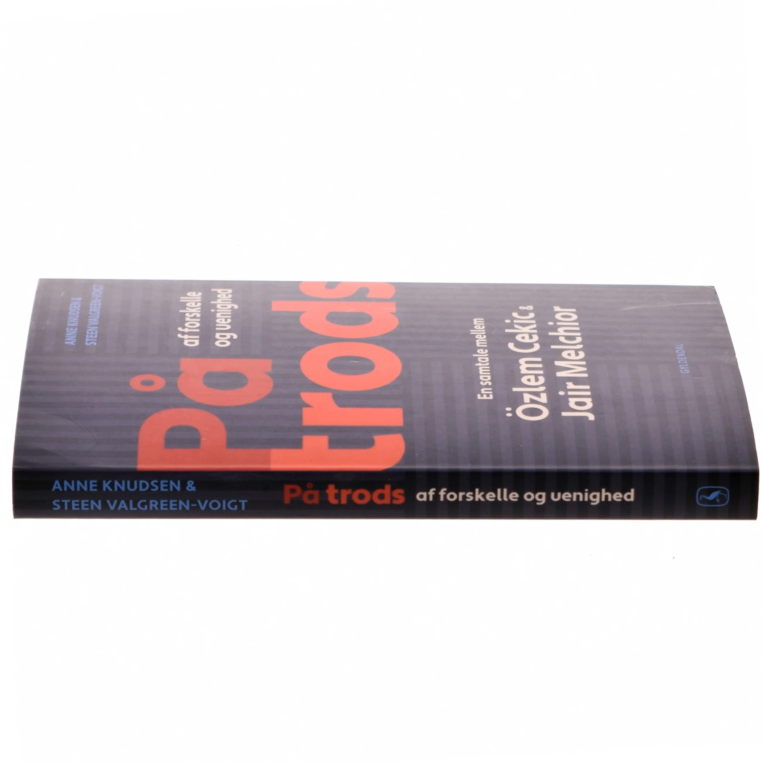 På trods af forskelle og uenighed : en samtale mellem Özlem Cekic og Jair Melchior af Anne Knudsen (f. 1956) (Bog)