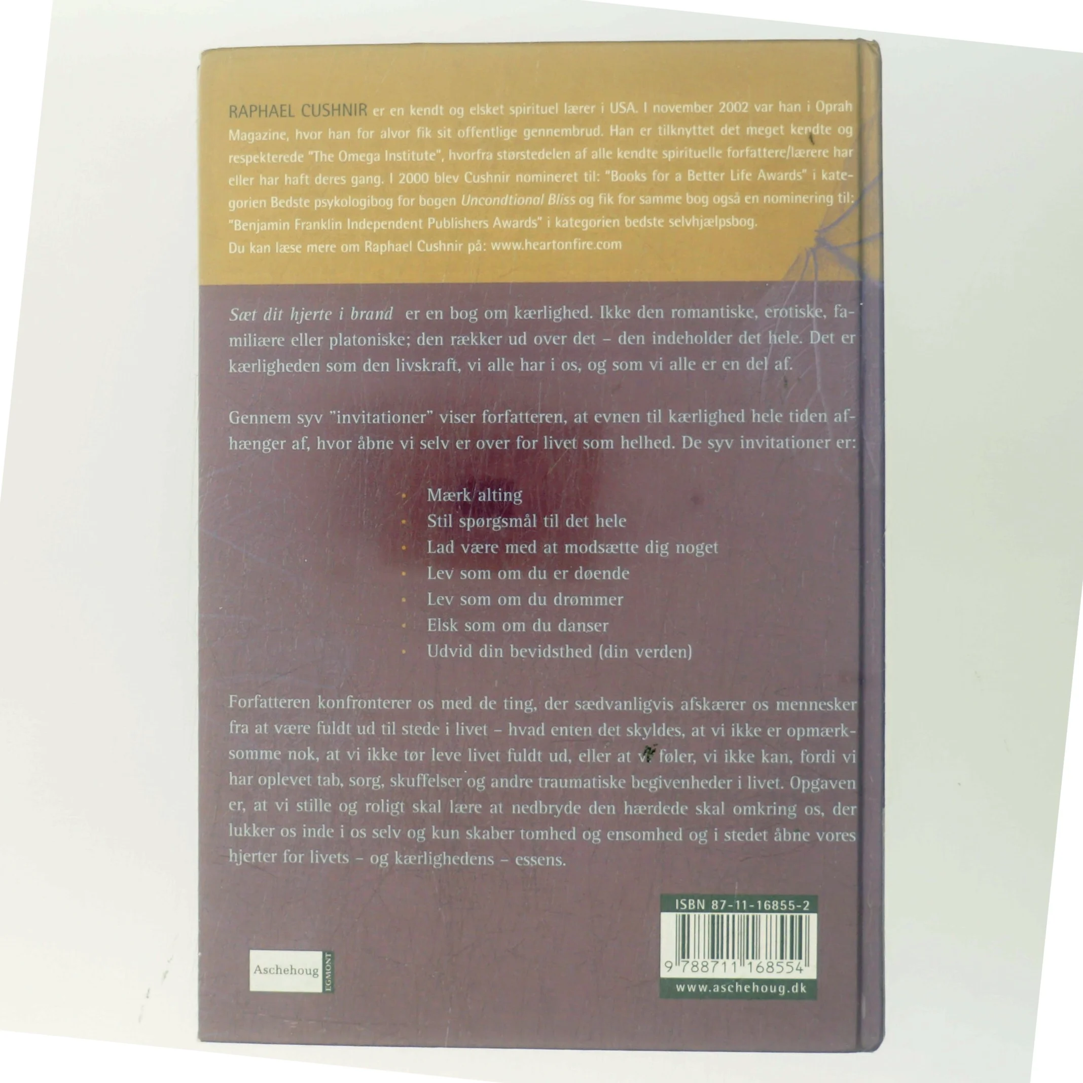 Sæt dit hjerte i brand : syv skridt til et liv i frihed af Raphael Cushnir (Bog)