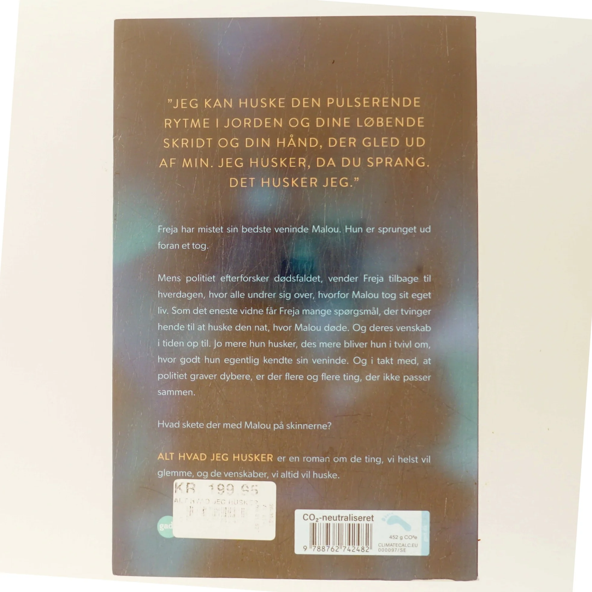 Alt hvad jeg husker af Michala Elk (f. 1991) (Bog)