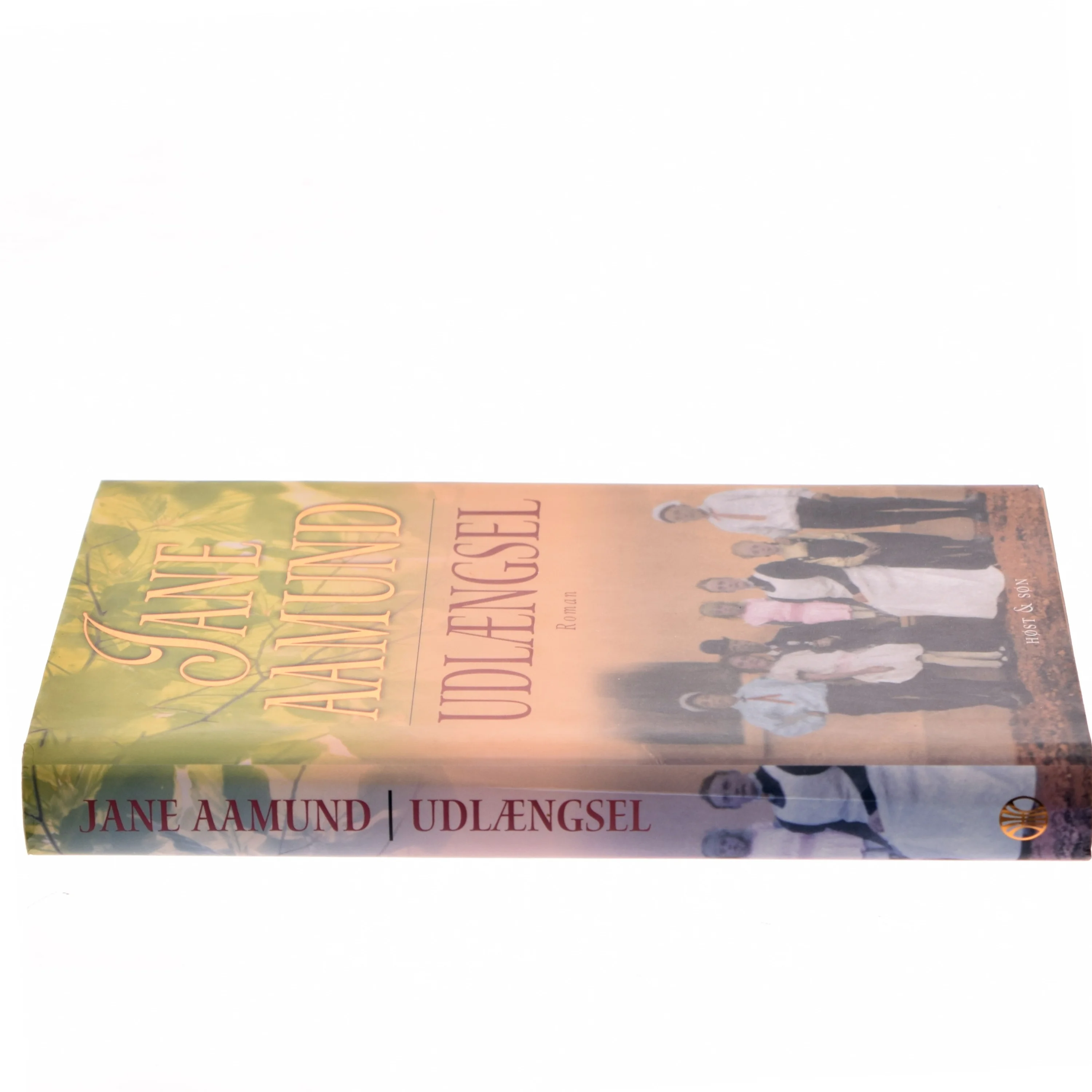 Udlængsel af Jane Aamund (Bog)