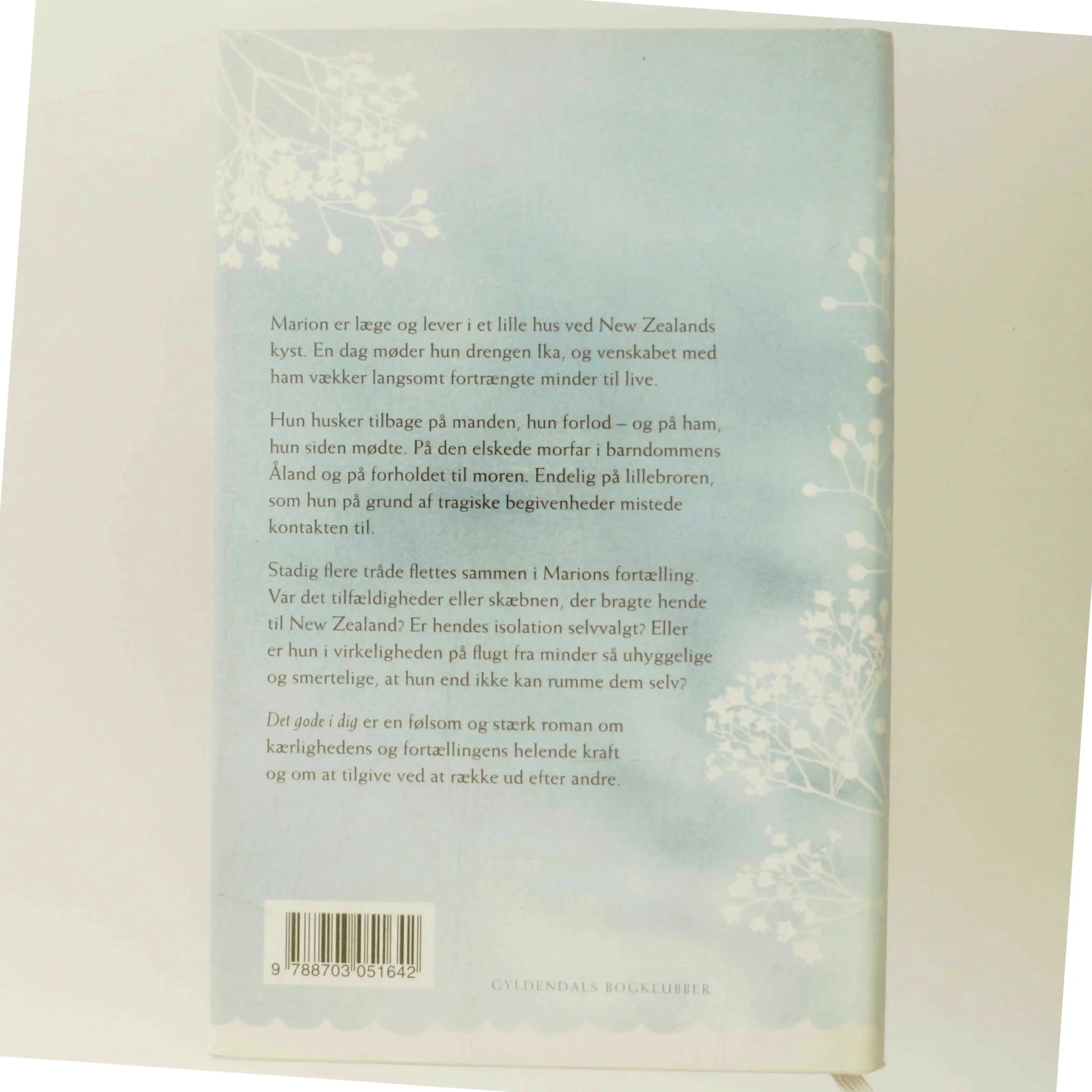 Det gode i dig af Linda Olsson (Bog)