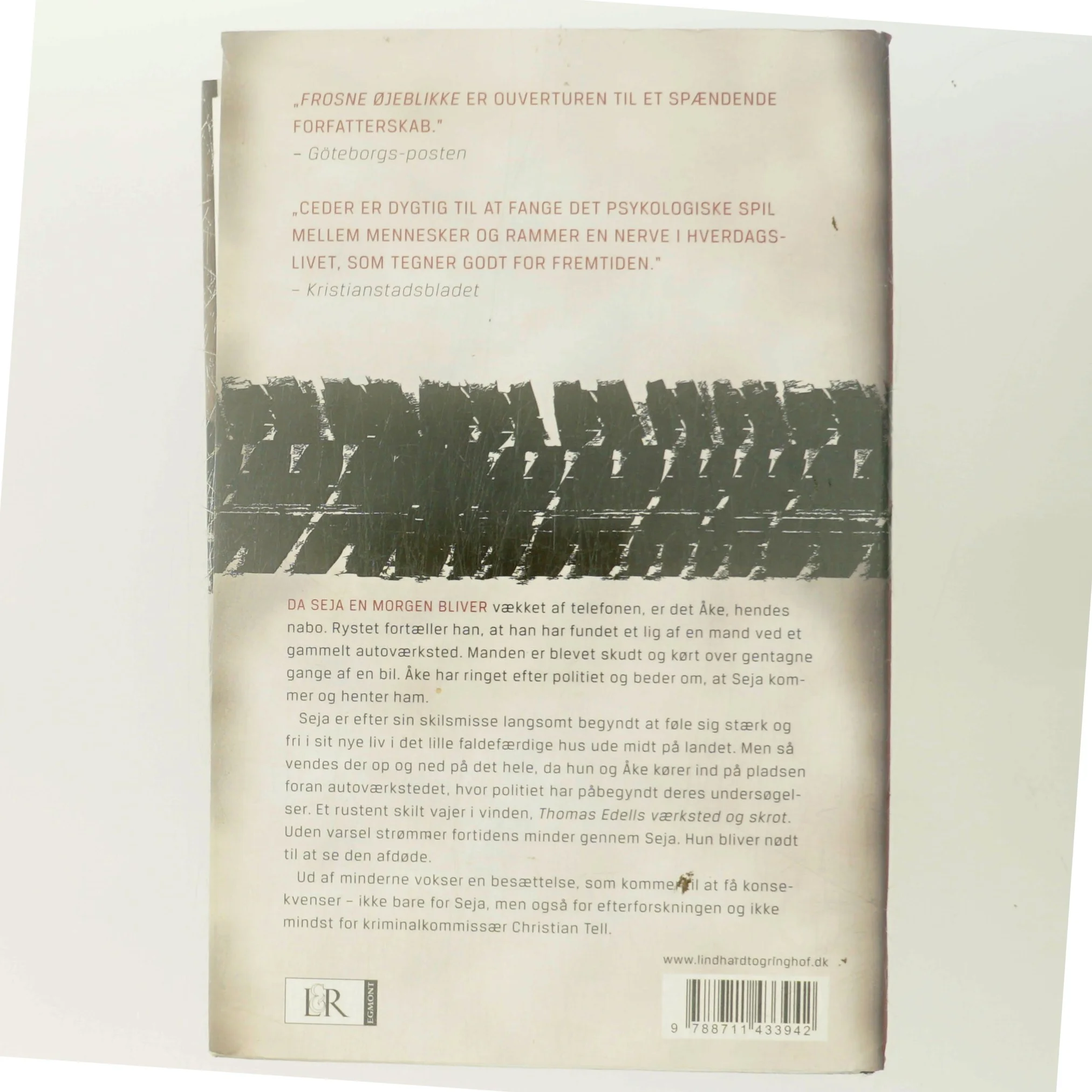 Frosne øjeblikke af Camilla Ceder (Bog)