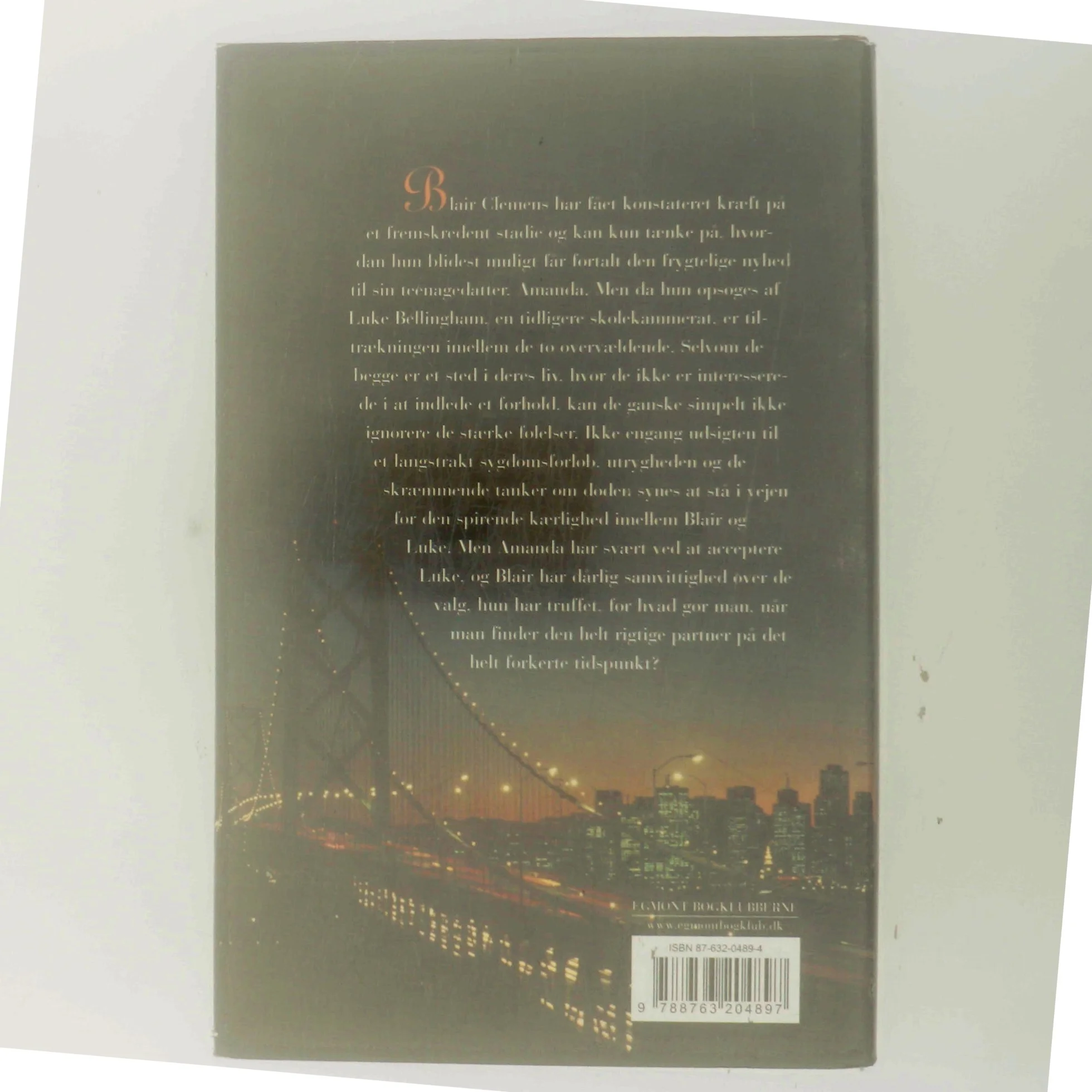 Dagens sidste lys af Ellen Sussman (Bog)