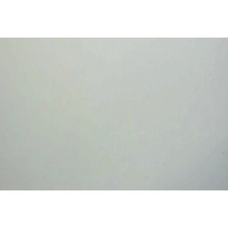 Ind i kampen : roman af Anette Vestergaard (Bog)