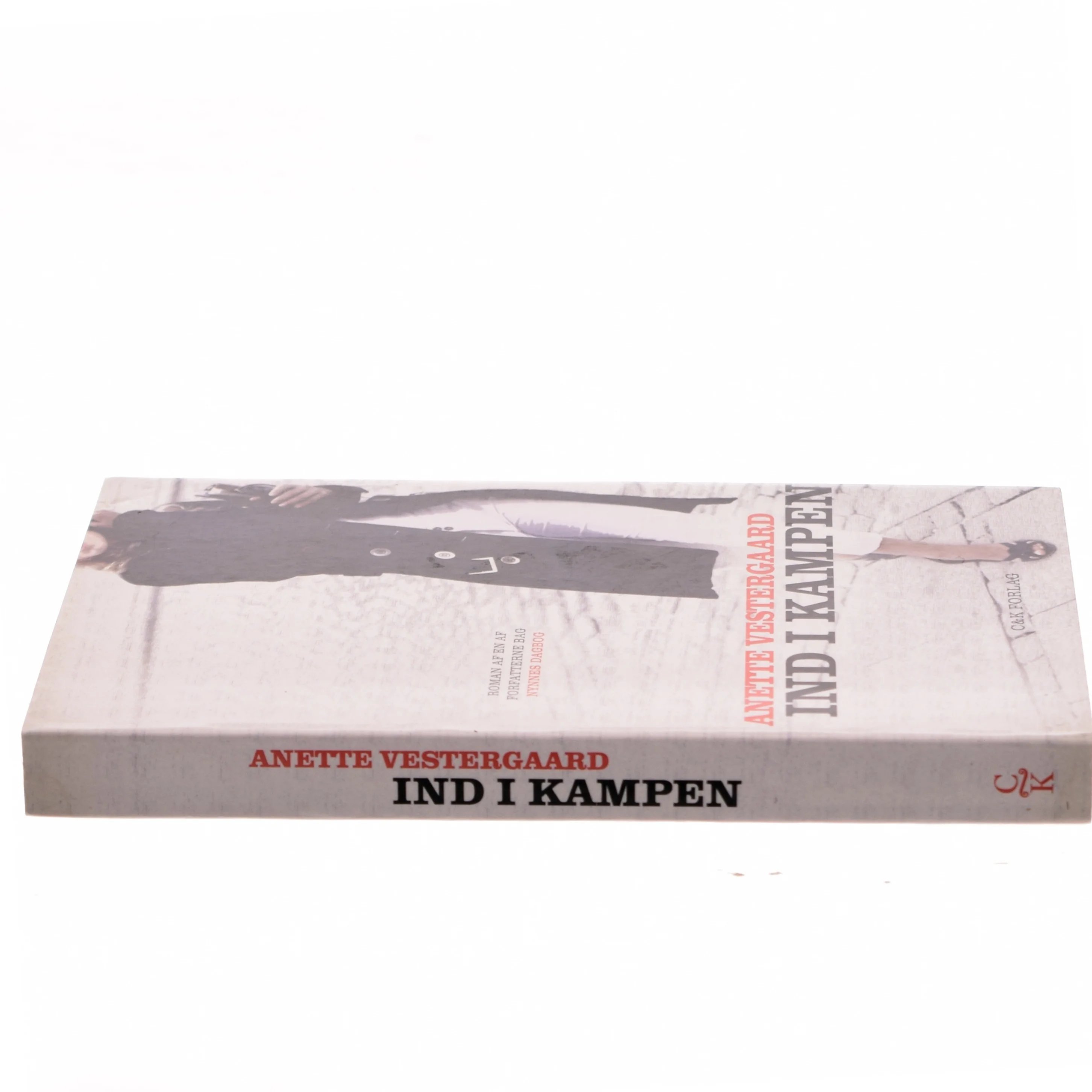 Ind i kampen : roman af Anette Vestergaard (Bog)