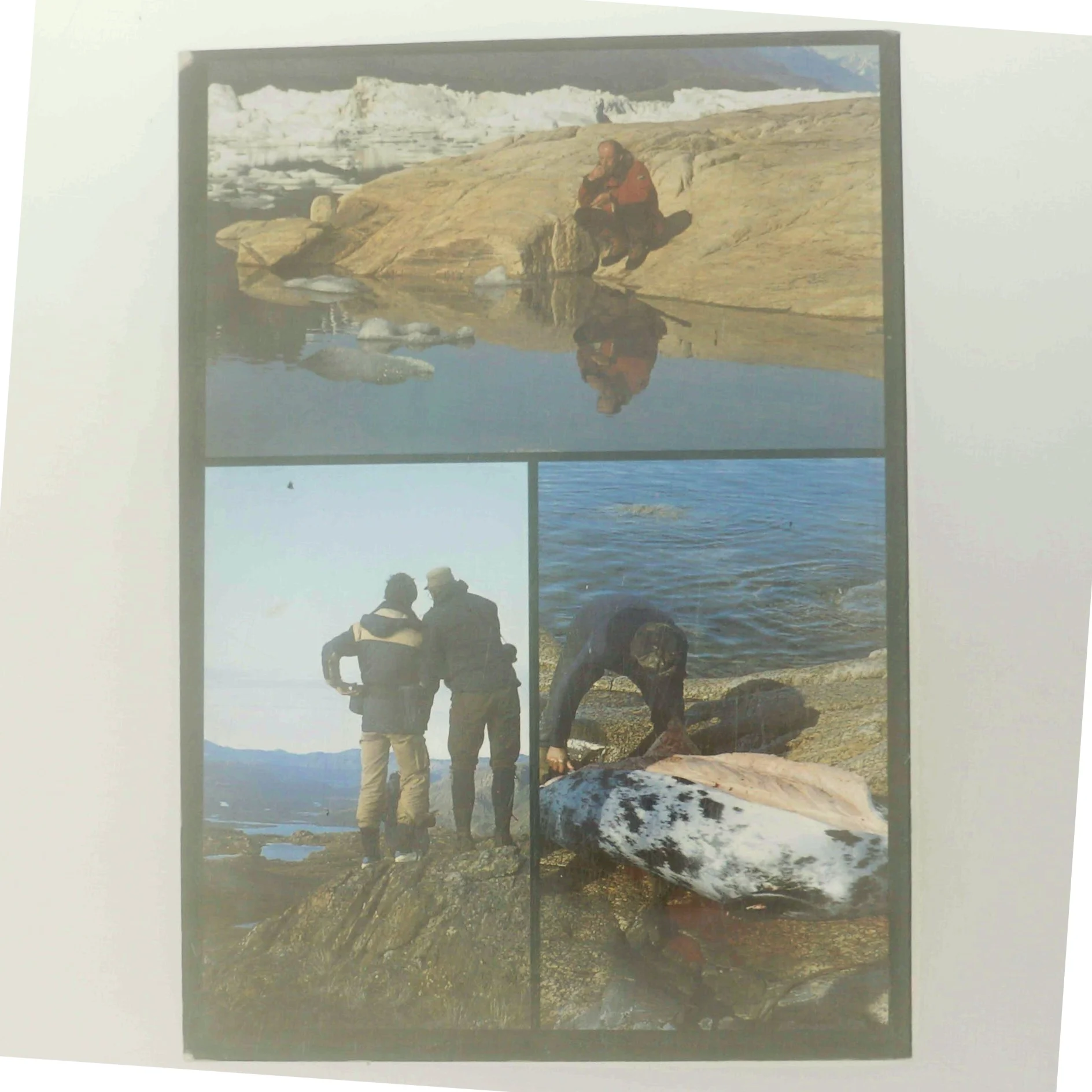 Vandreture i Grønland af Torbjørn Ydegaard (Bog)