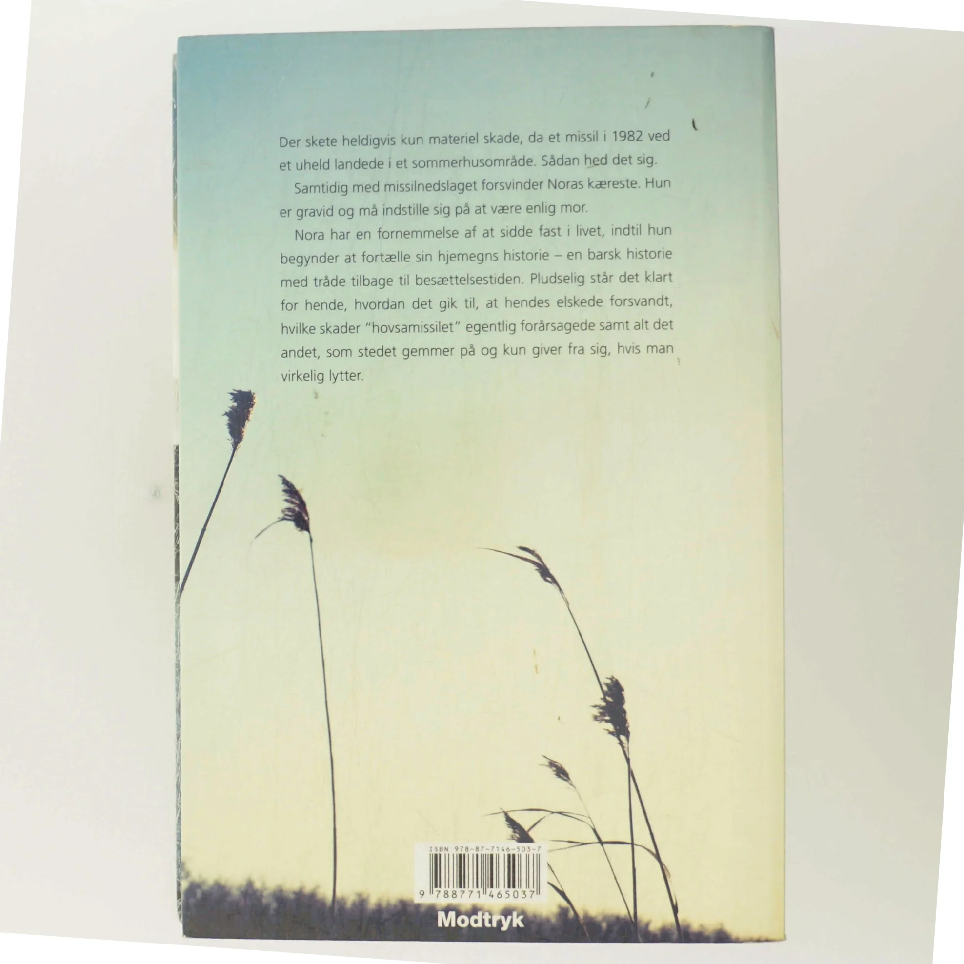 Fortællersken af Vibeke Marx (Bog)