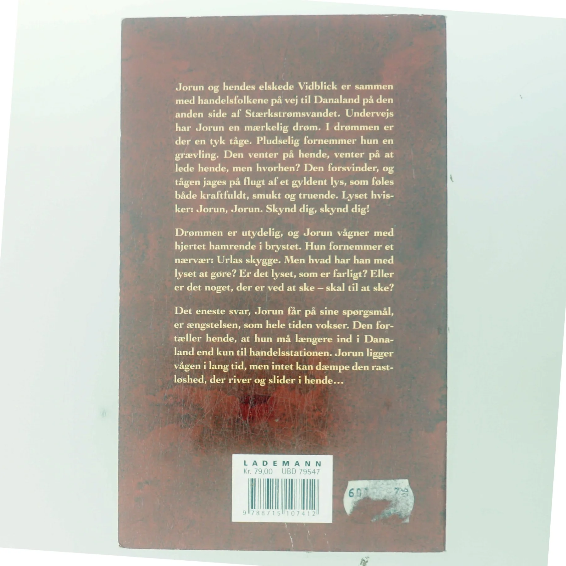 Mørket sænker sig af Saga Borg (Bog)