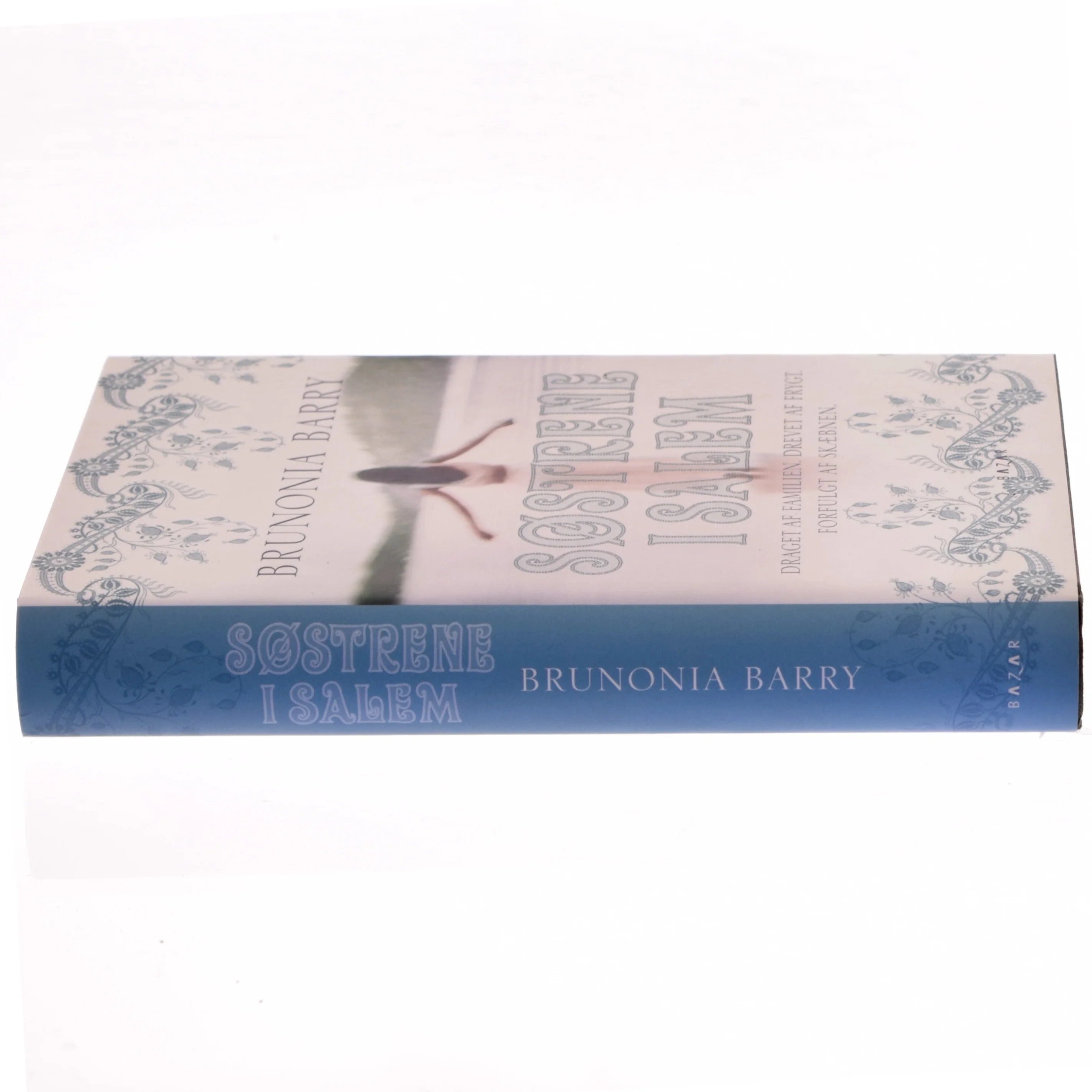 Søstrene i Salem af Brunonia Barry (Bog)