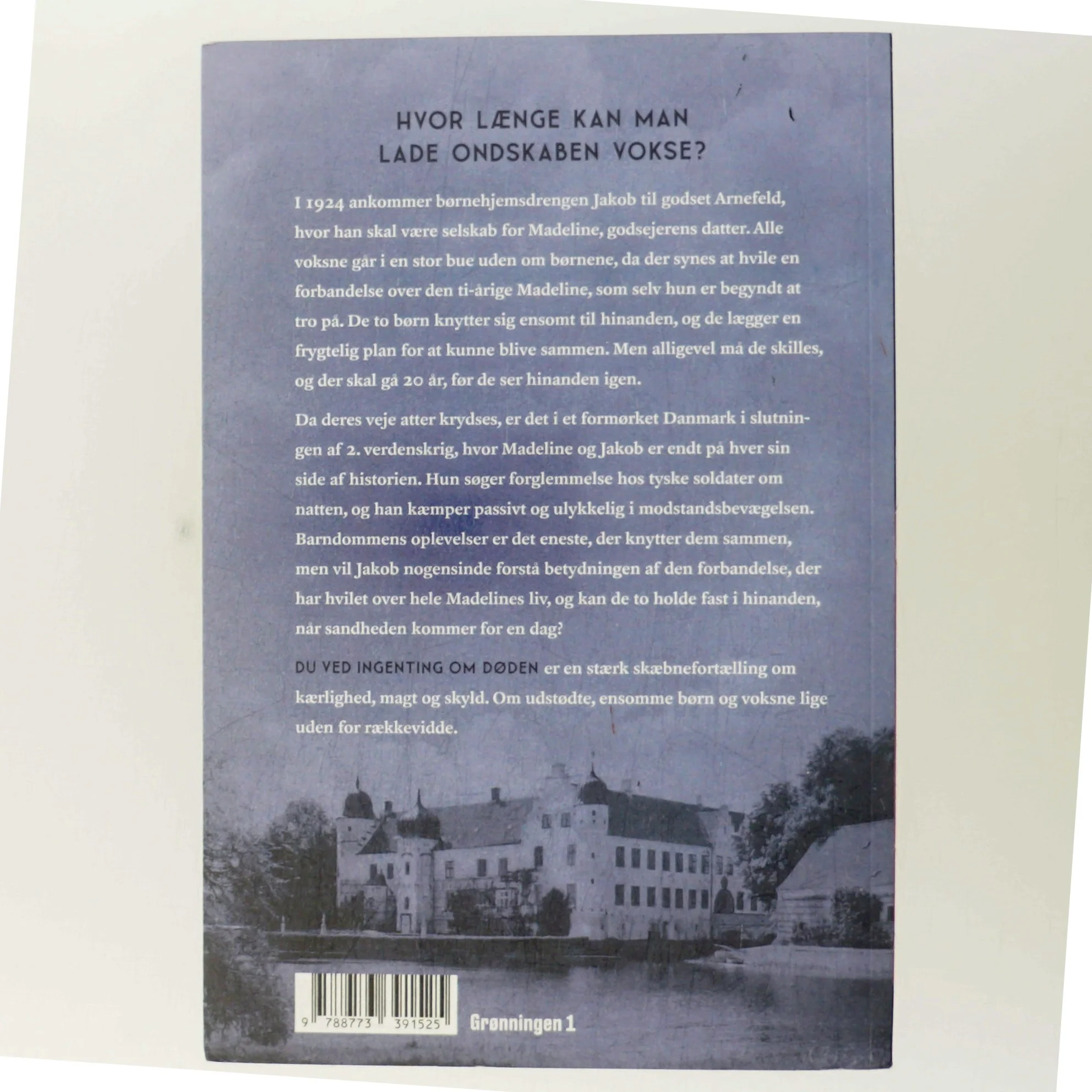 Du ved ingenting om døden : roman af Katinka Agger (Bog)