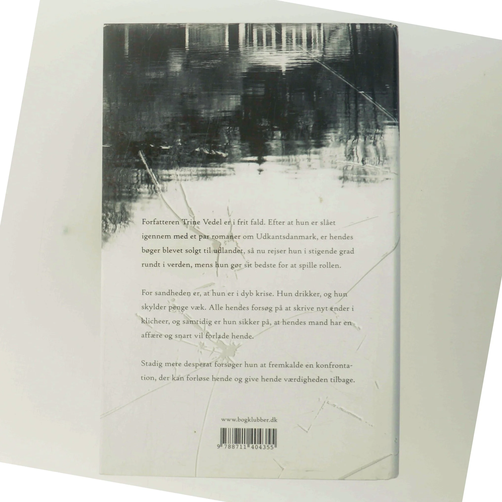 Siden blev det for pænt : roman af Trisse Gejl (Bog)