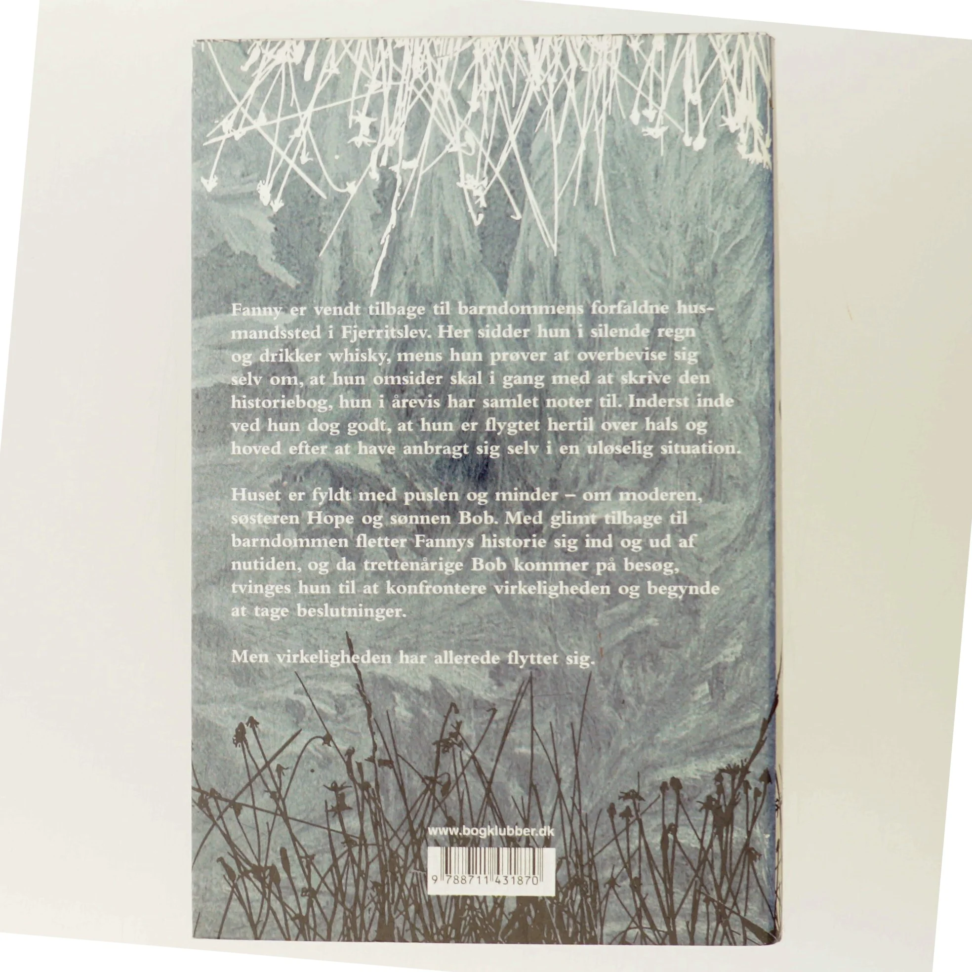 Skjul af Trisse Gejl (Bog)