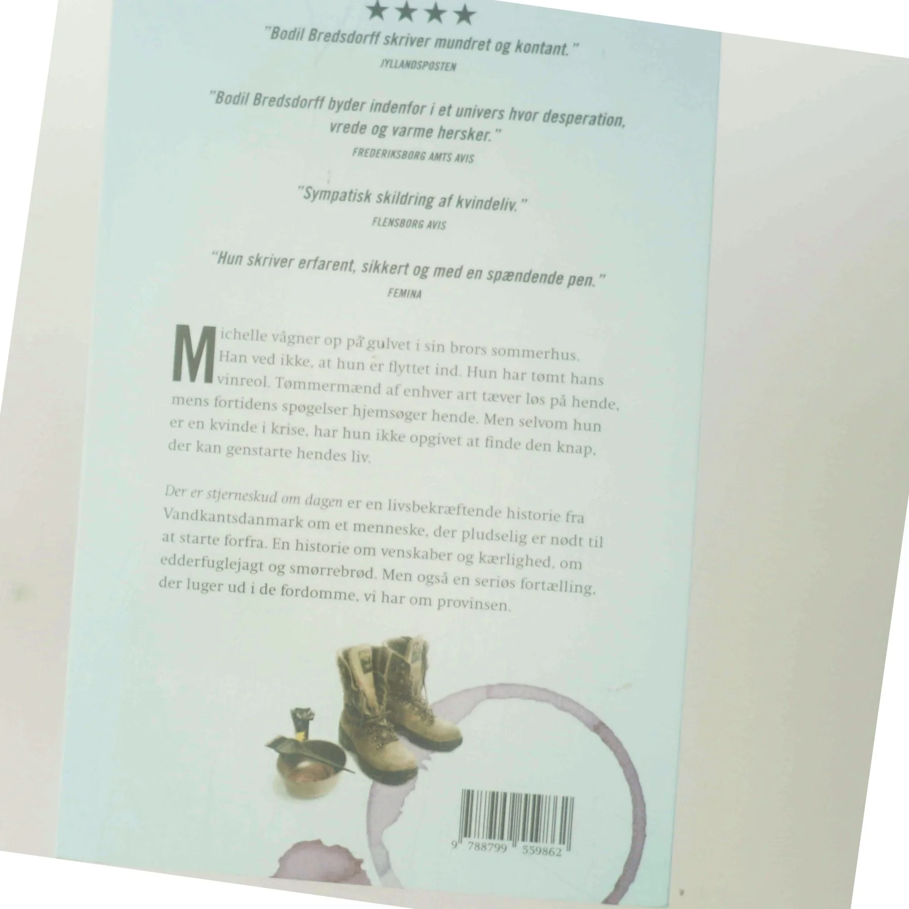 Der er stjerneskud om dagen : roman af Bodil Bredsdorff (Bog)