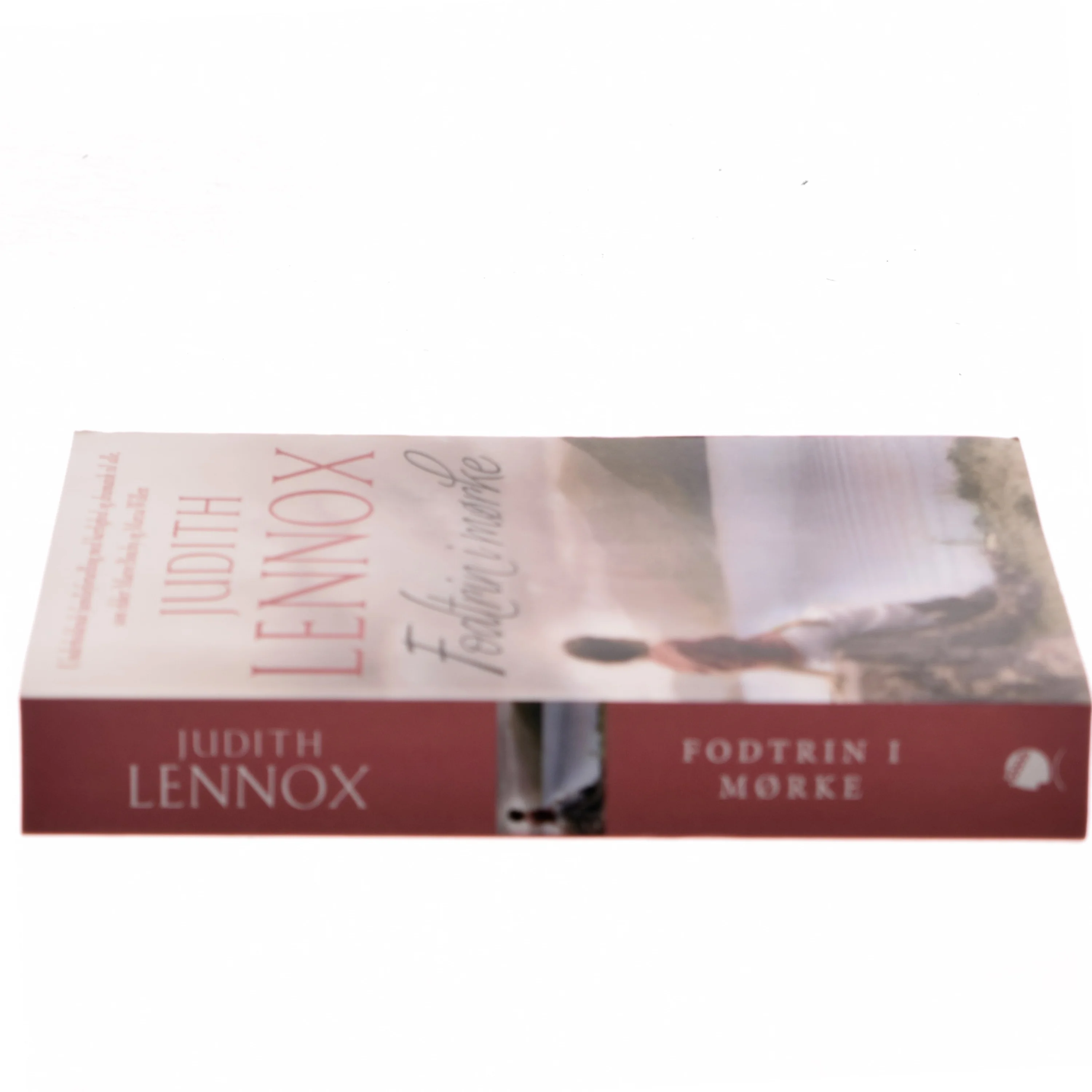 Fodtrin i mørke af Judith Lennox (Bog)