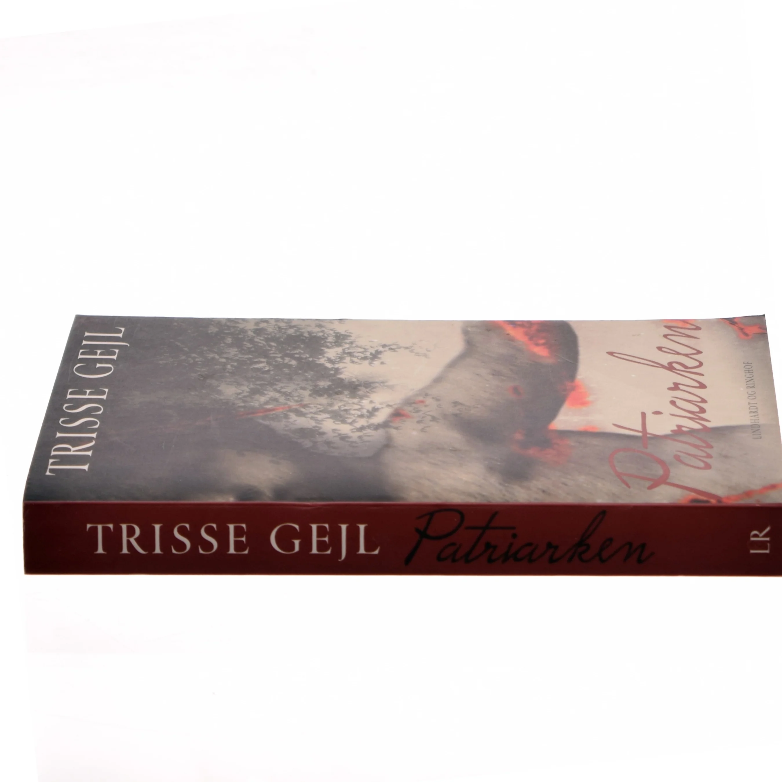 Patriarken : roman af Trisse Gejl (Bog)