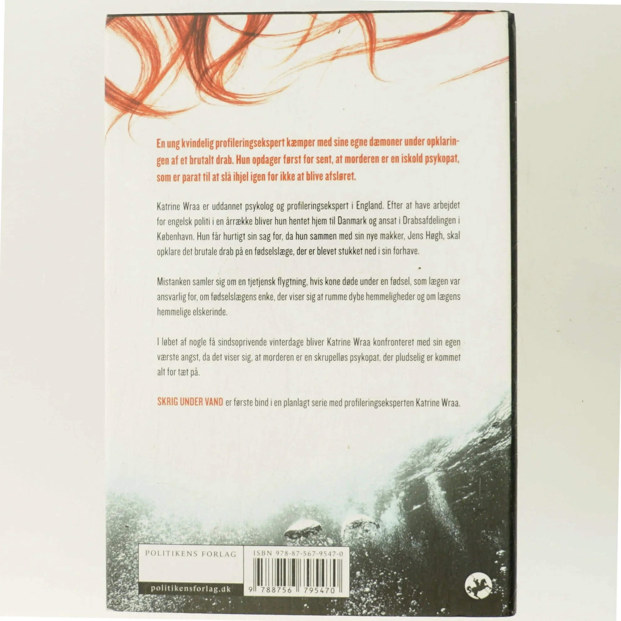 Am Ende Eines Sommers, Roman,, Aus Dem Englischen Von Rainer Schmidt (Bog)