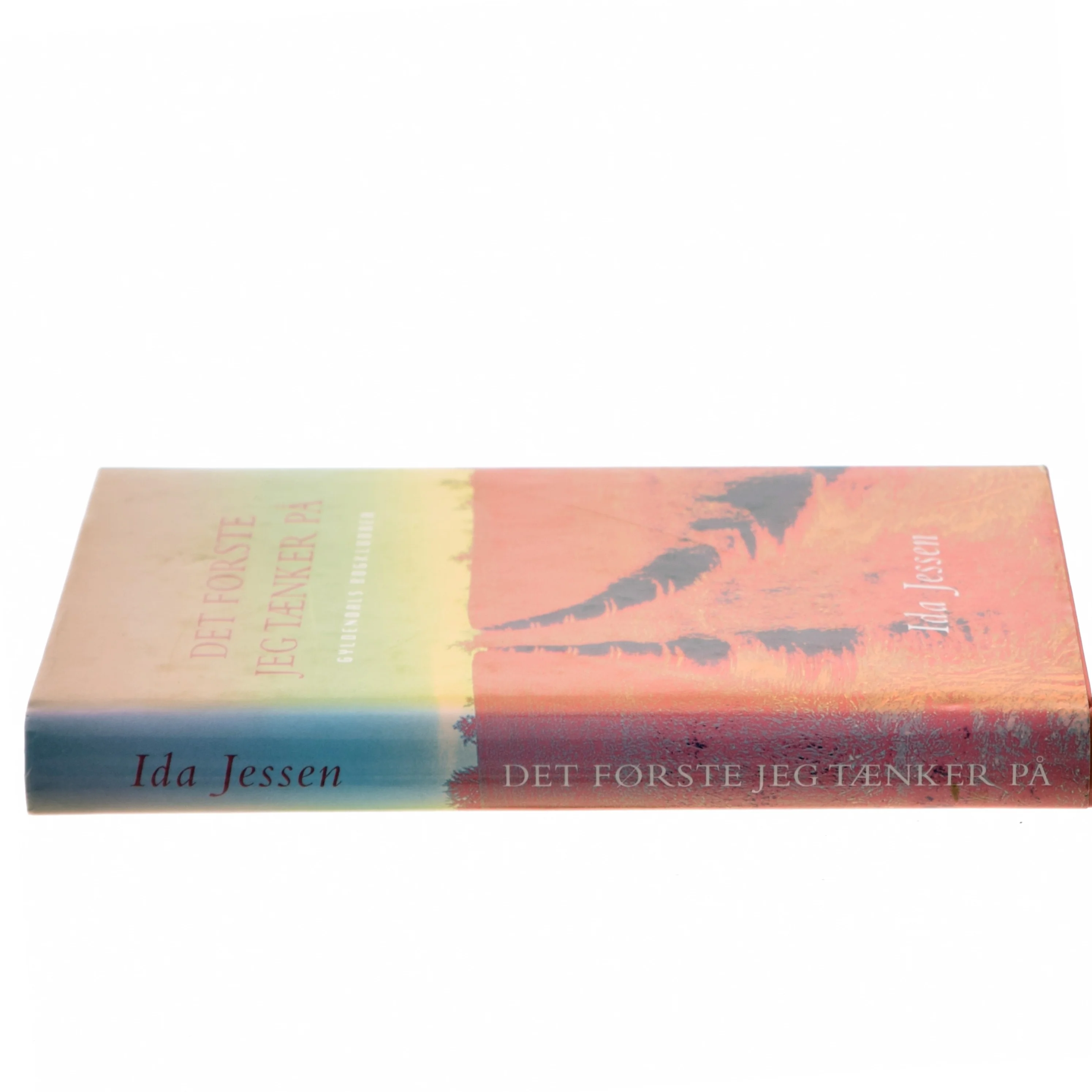 Det første jeg tænker på af Ida Jessen (f. 1964) (Bog)