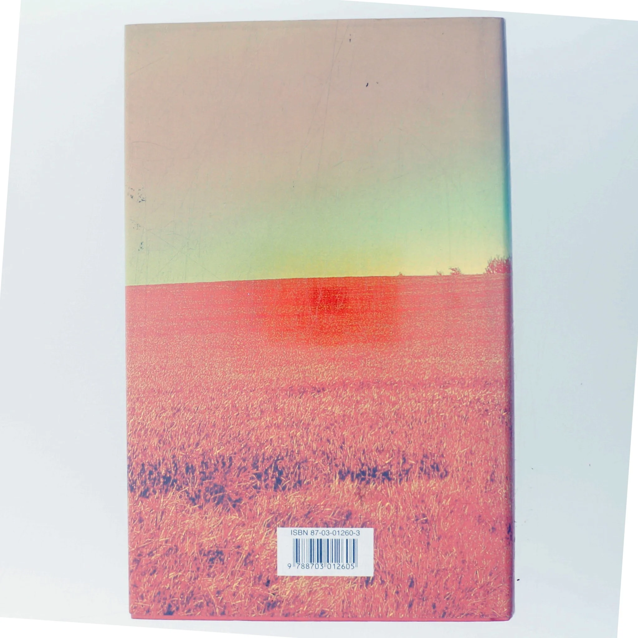 Det første jeg tænker på af Ida Jessen (f. 1964) (Bog)