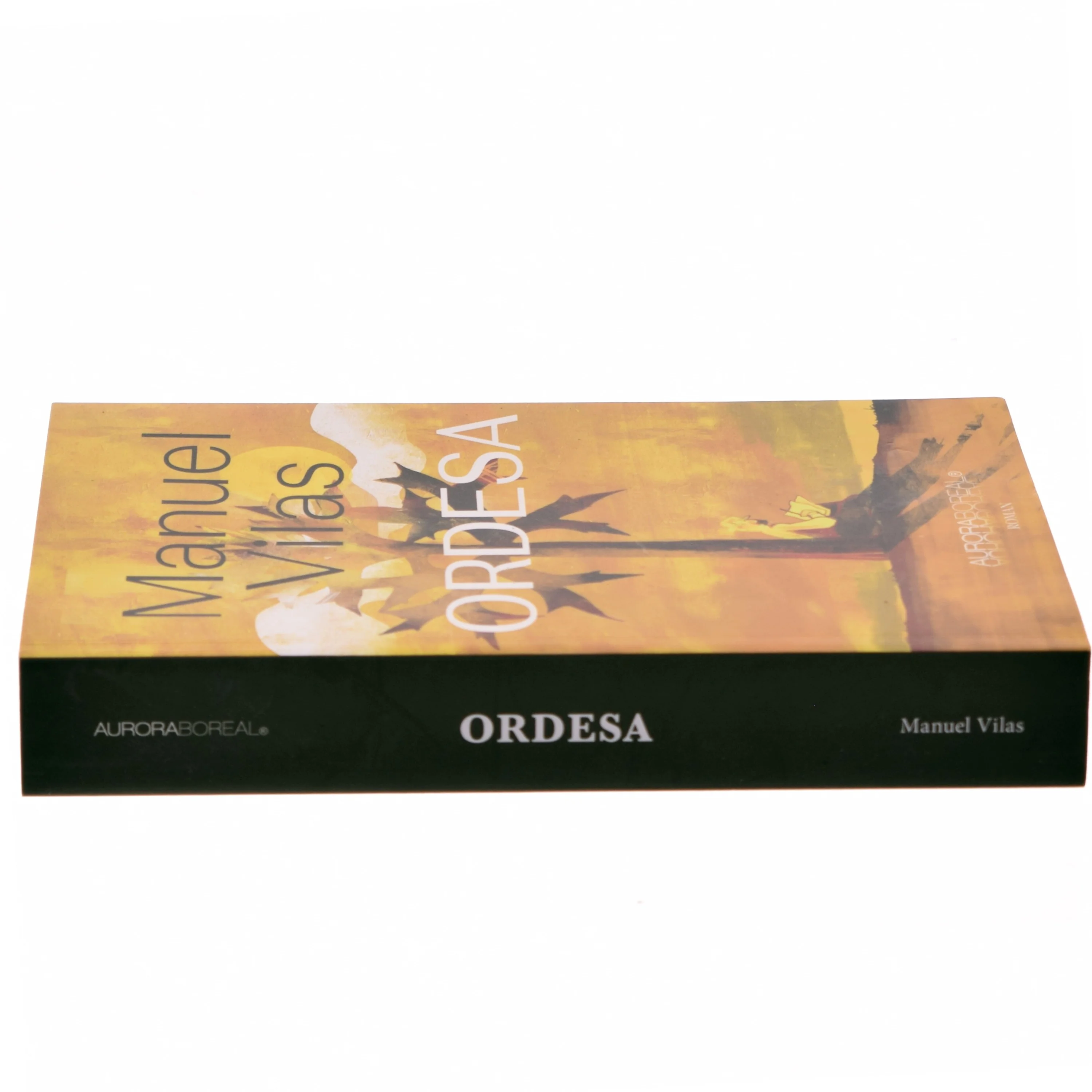 Ordesa af Manuel Vilas (f. 1962) (Bog)