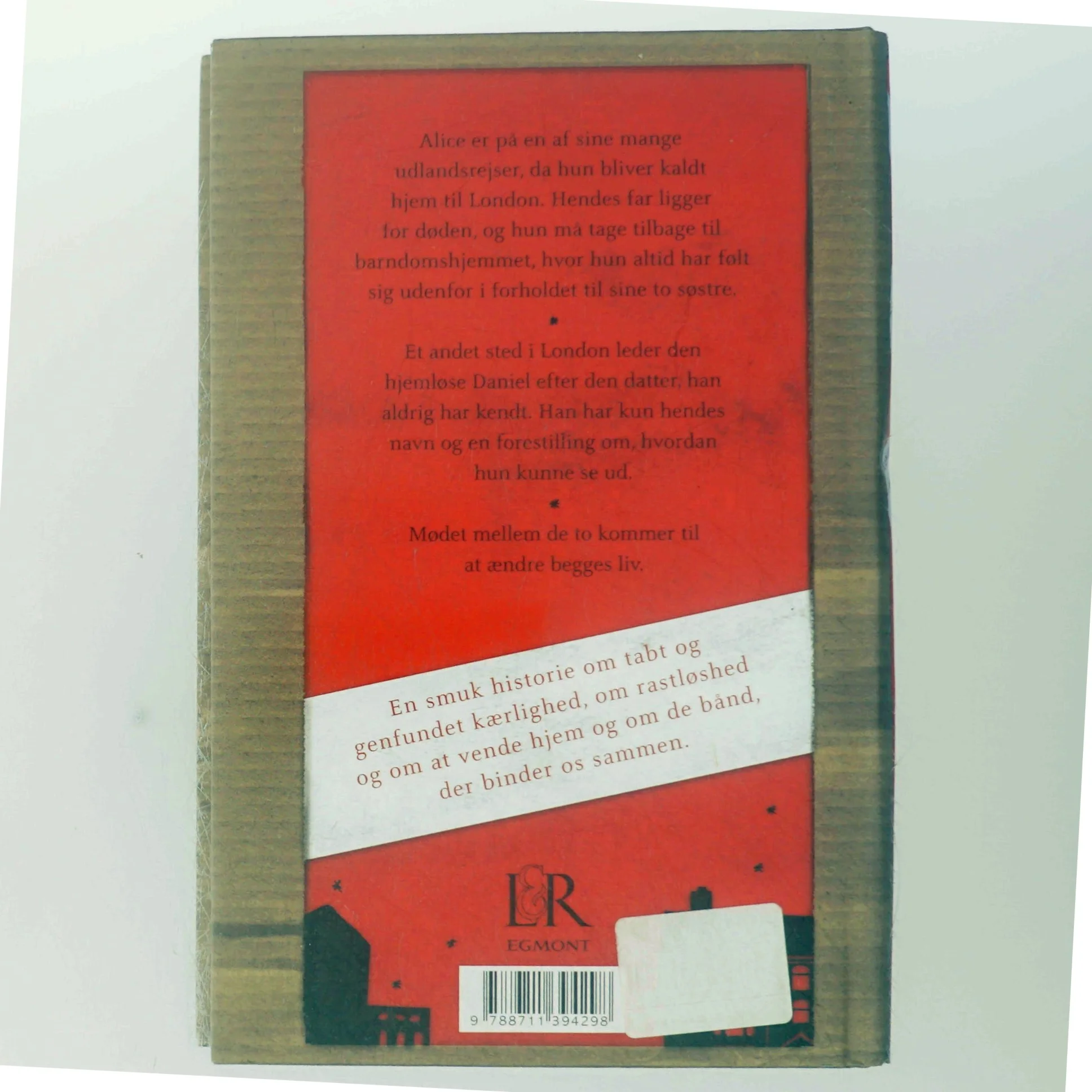 Ti ting jeg har lært om kærlighed : roman af Sarah Butler (Bog)