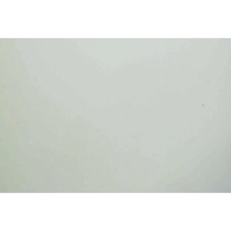 Dronningeofret af Hanne-Vibeke Holst (Bog)