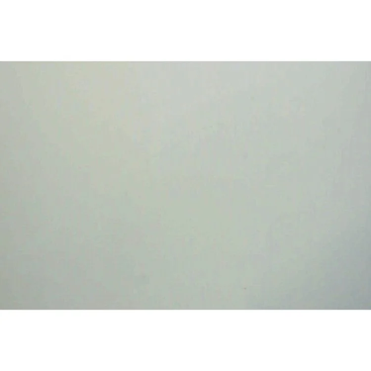 Æg : roman af Morten Ramsland (Bog)